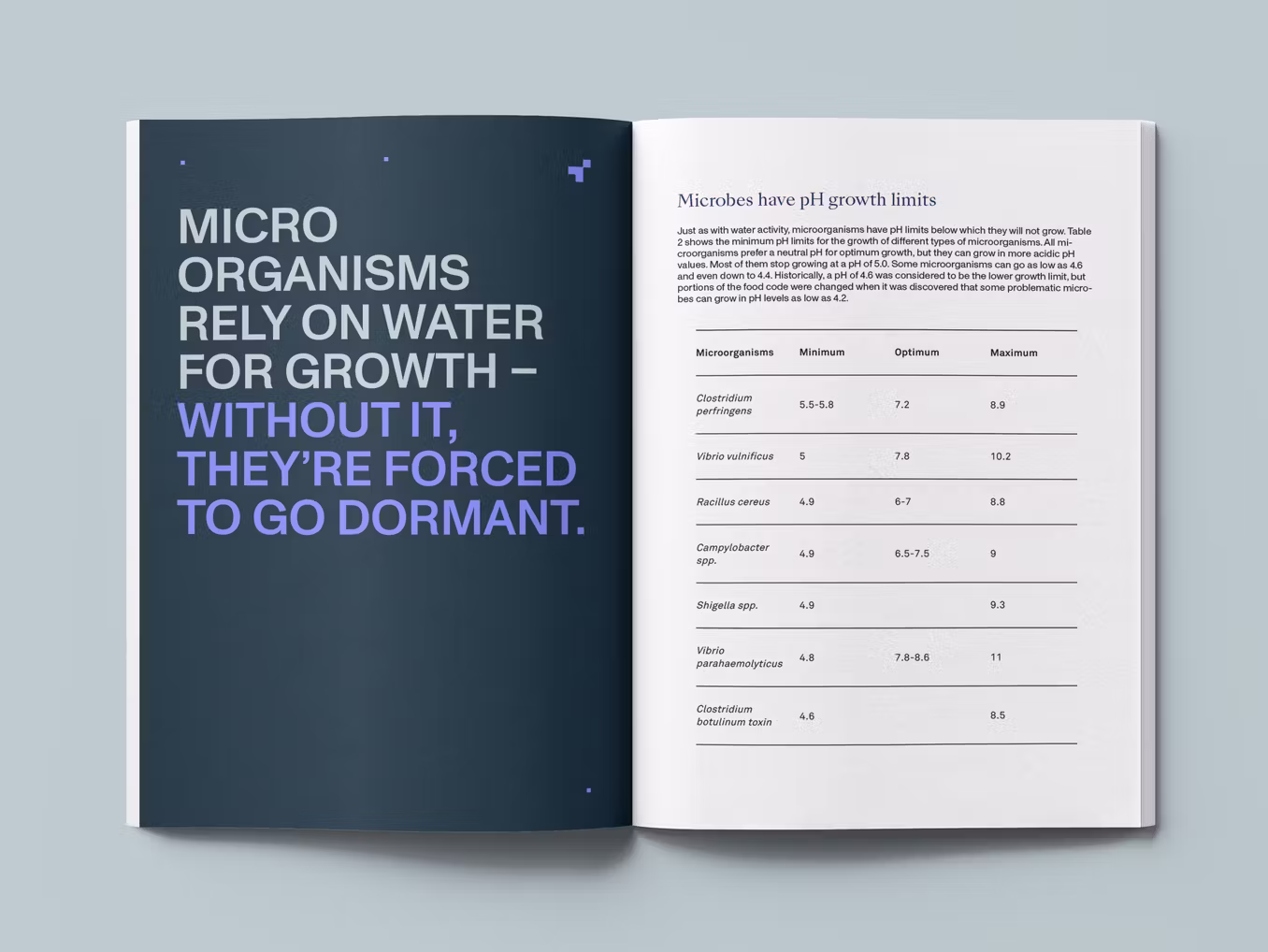 Cookies University: Cultivating Equity Through Education and Empowerment