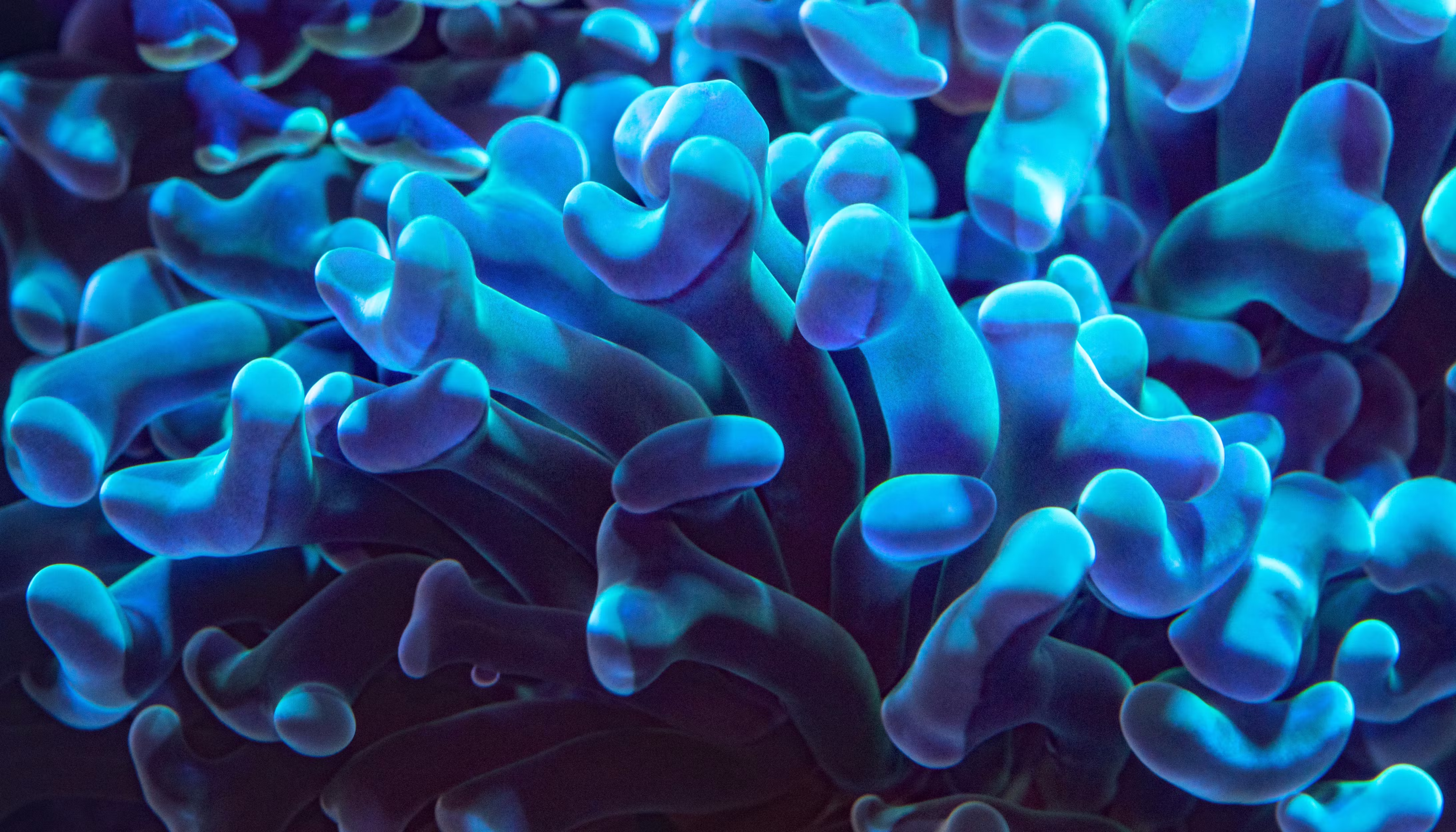 Water activity for food safety and quality