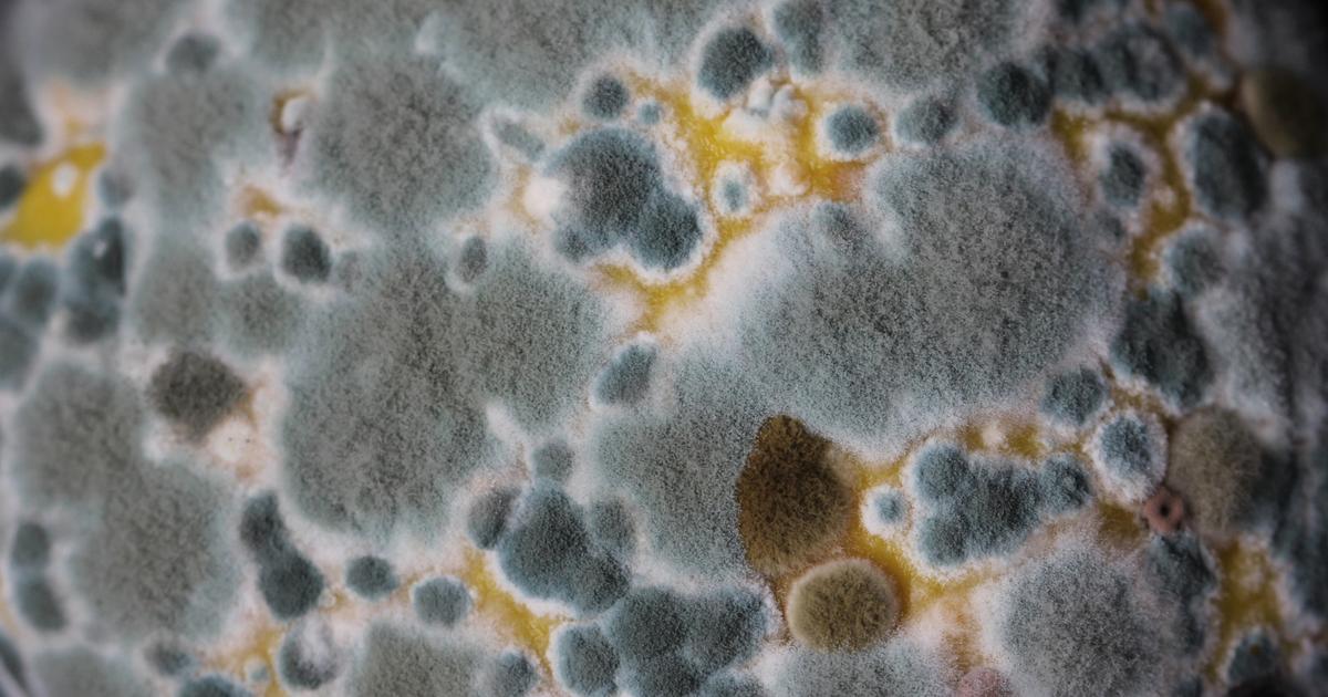 Shelf life simplified