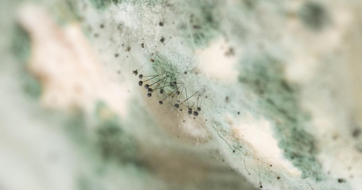 Use water activity to get—and maintain—the right texture