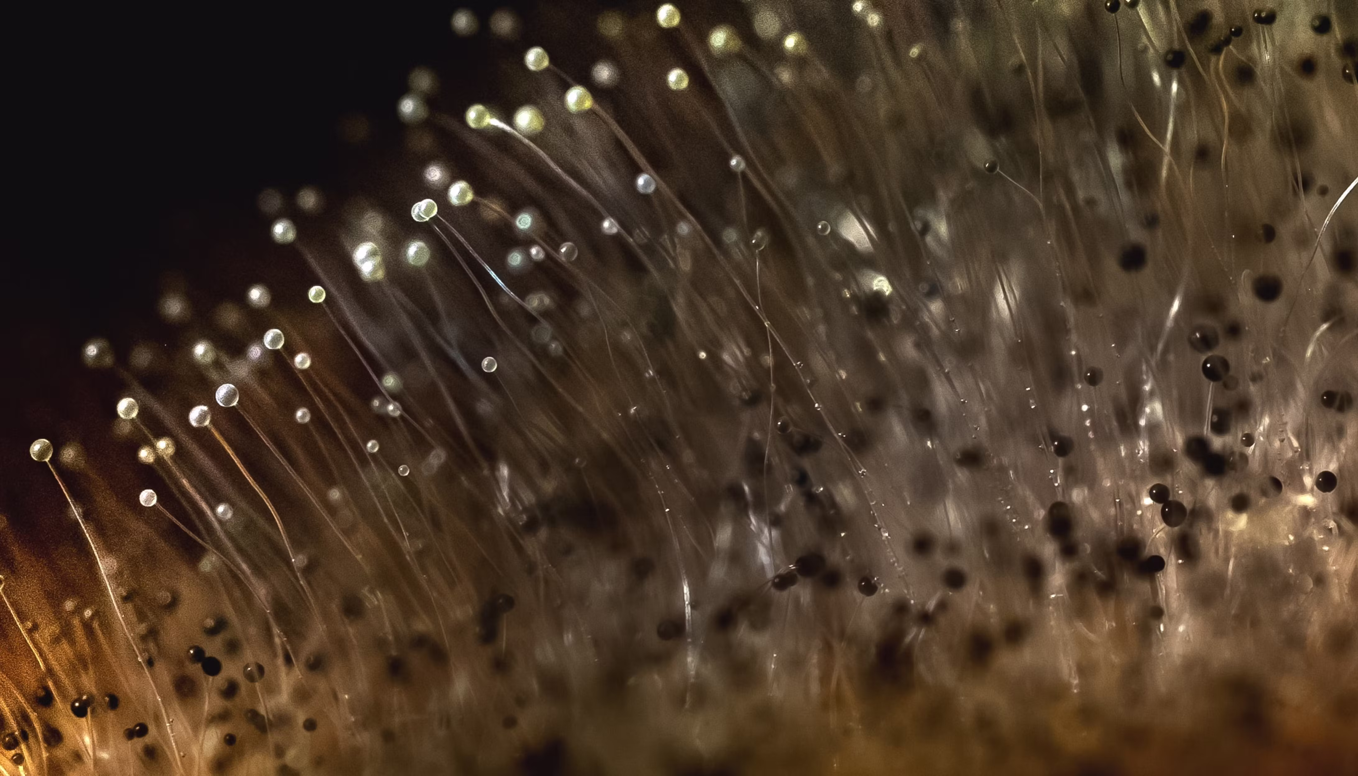 Predict packaging performance to maximize product shelf life