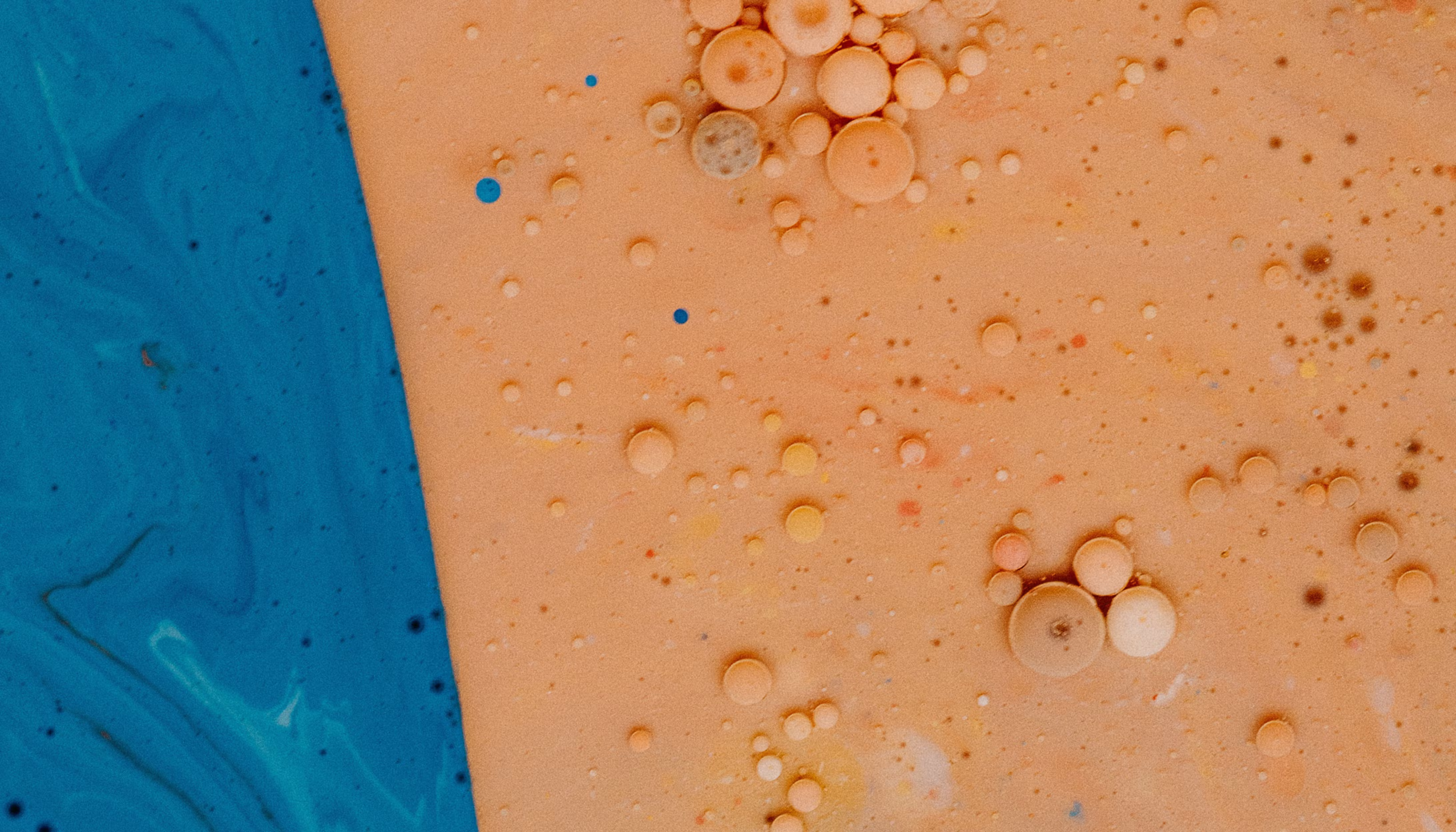 What is a moisture analyzer? How do balances, ovens, titrations and NIR compare?