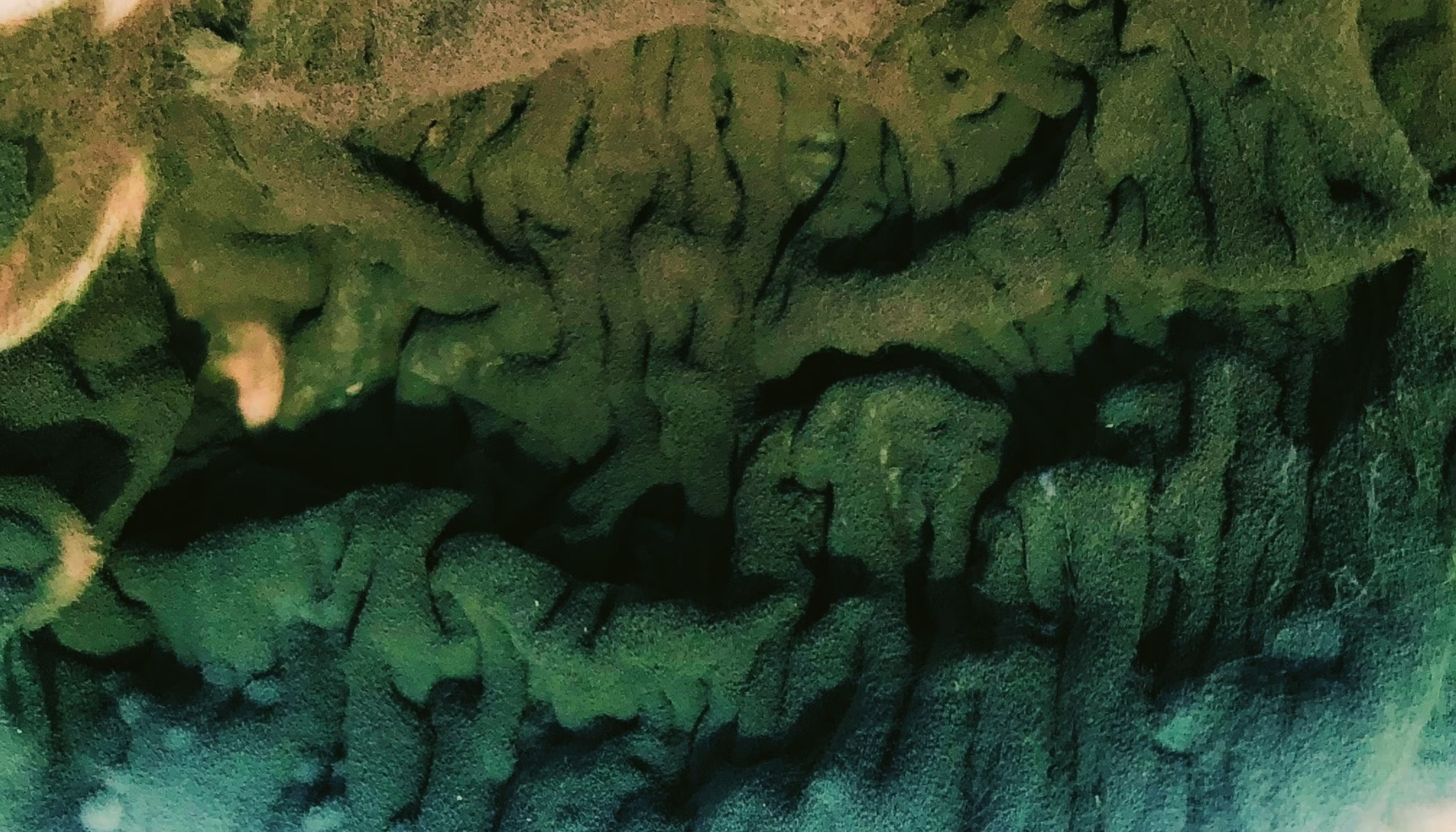 How to control lipid oxidation in food manufacturing