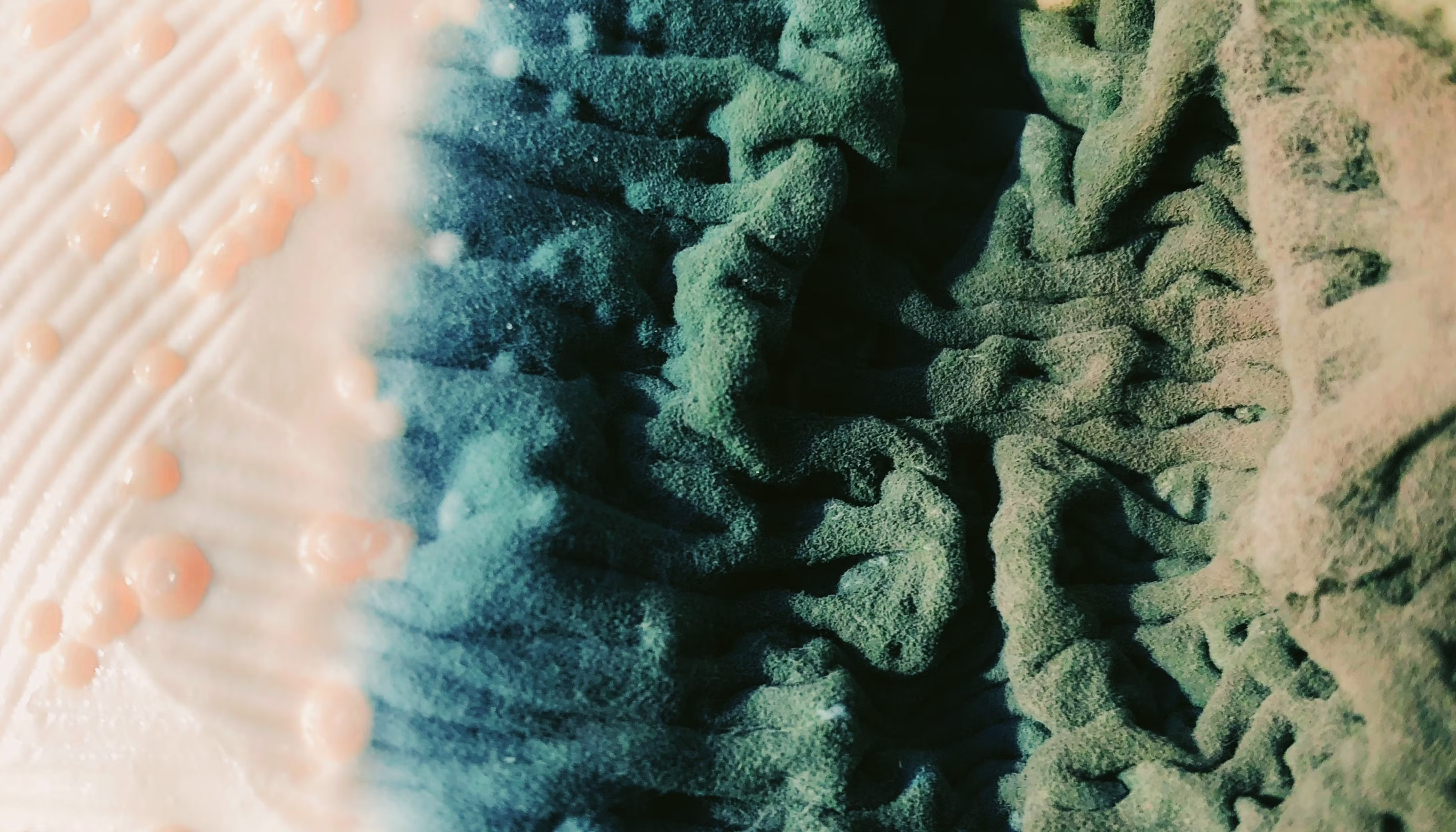 Real-time data for process control in food manufacturing