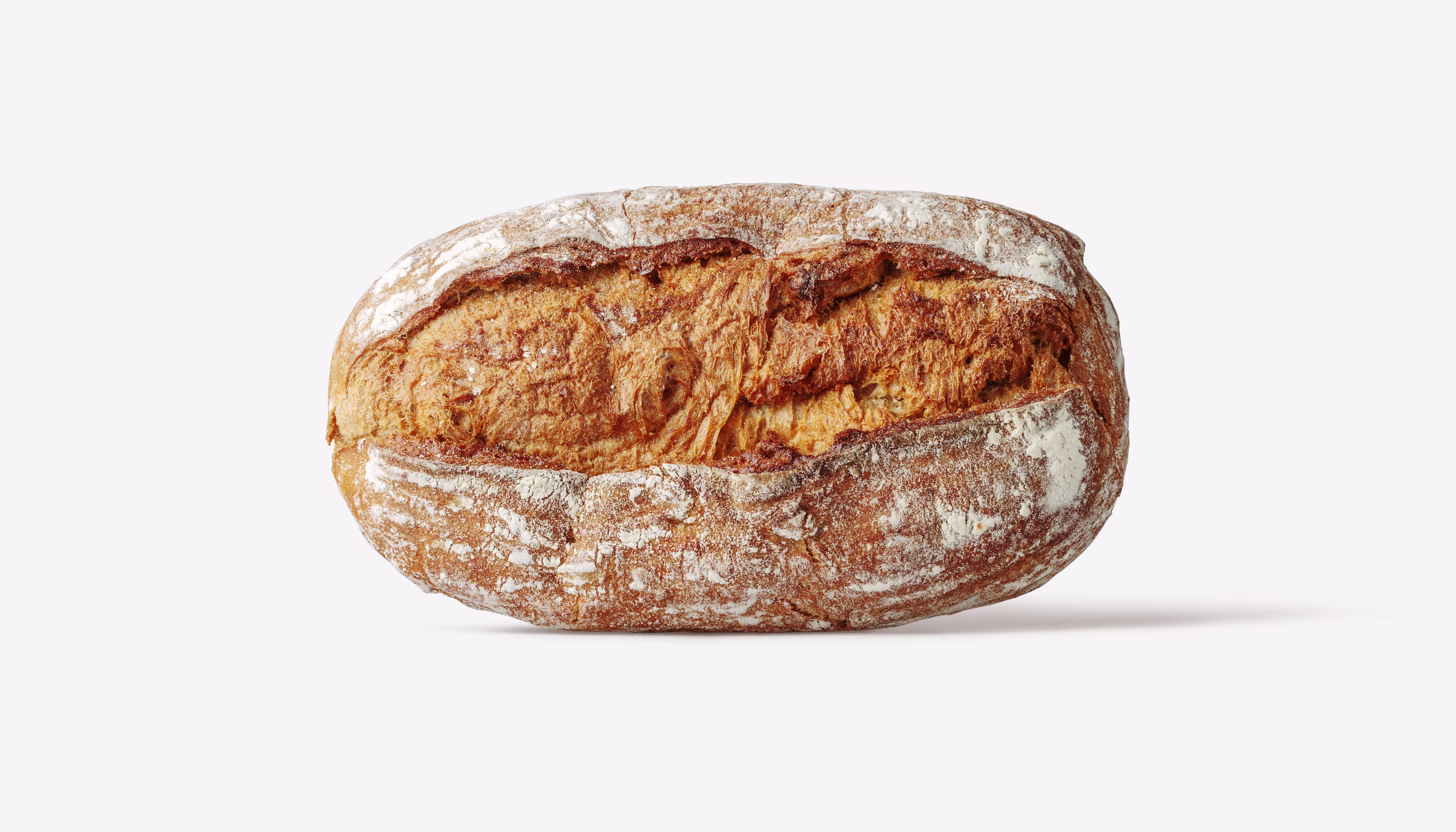 Introduction to water activity (aw): The beginner's guide to water activity's role in food production