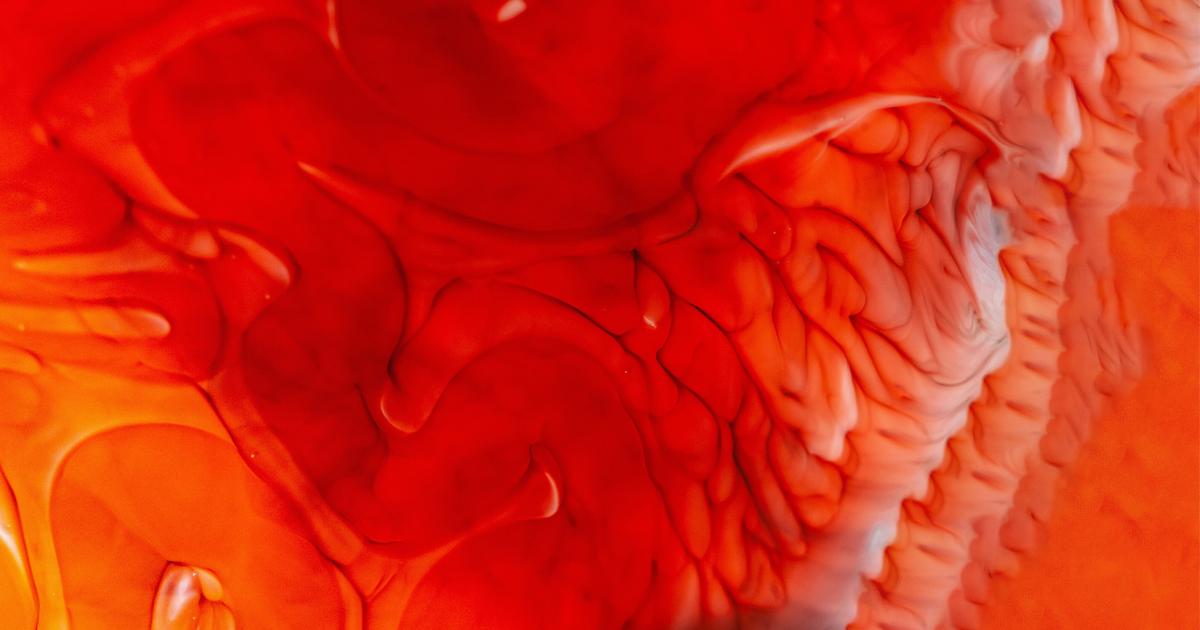 Cookies University: Cultivating Equity Through Education and Empowerment