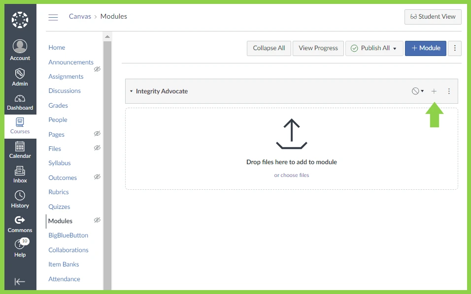 Canvas course modules page showing Integrity Advocate module with option to drop files or add content.