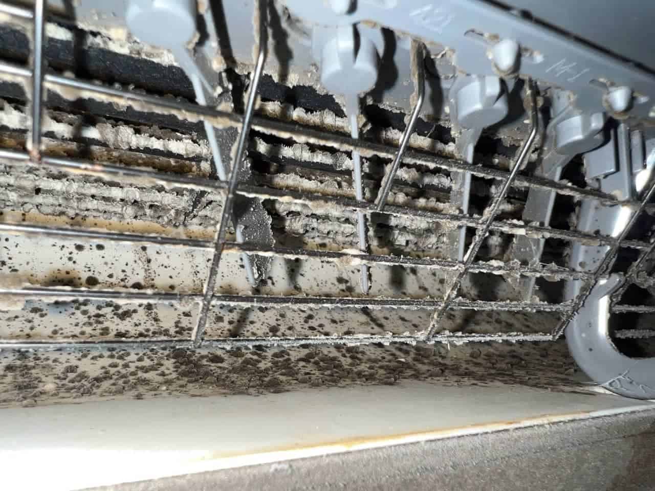 mould on indoor heat pump fan