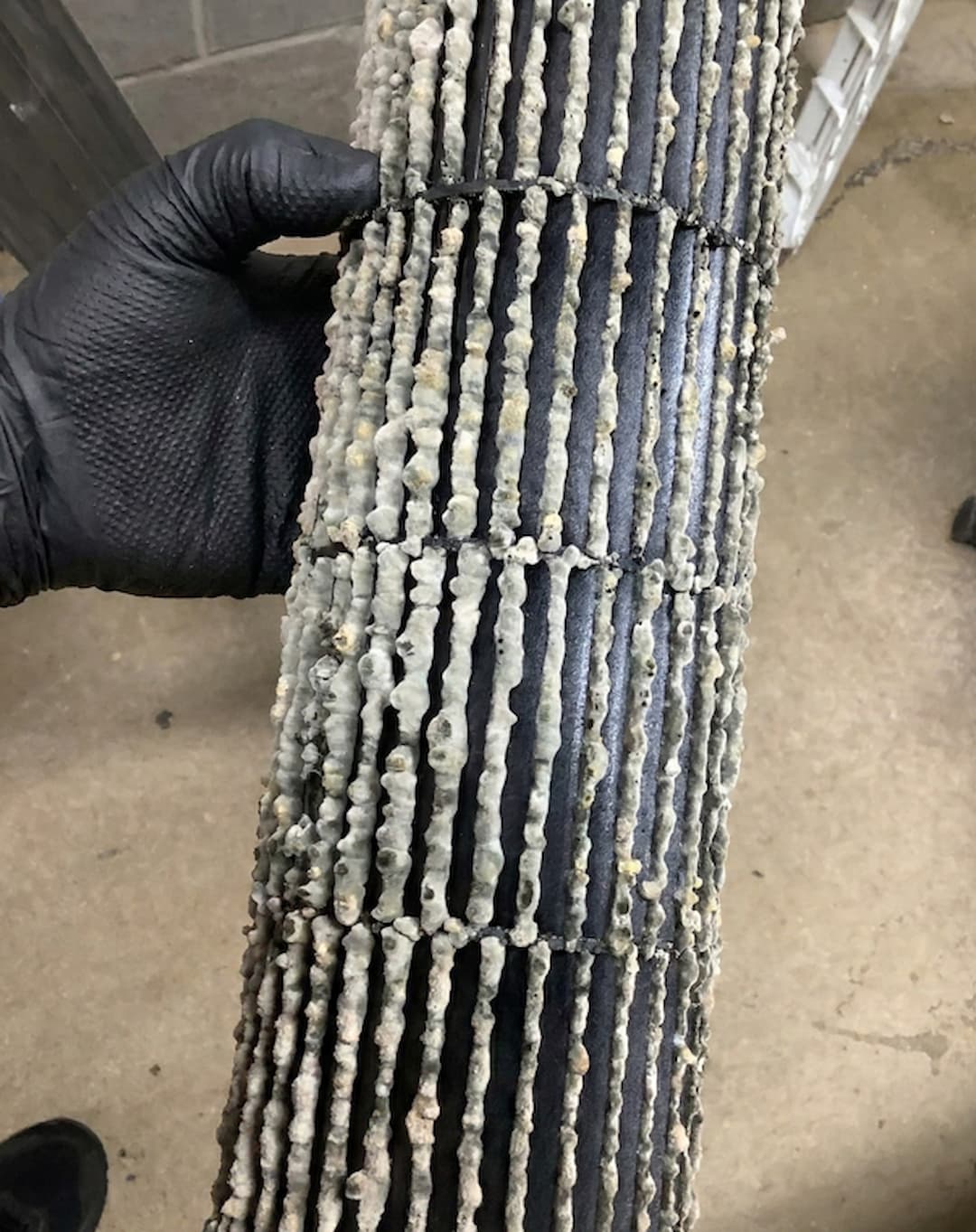 Internal coil and fan removed from an air conditioner during a professional service in Auckland, showing mould growth causing a persistent smell