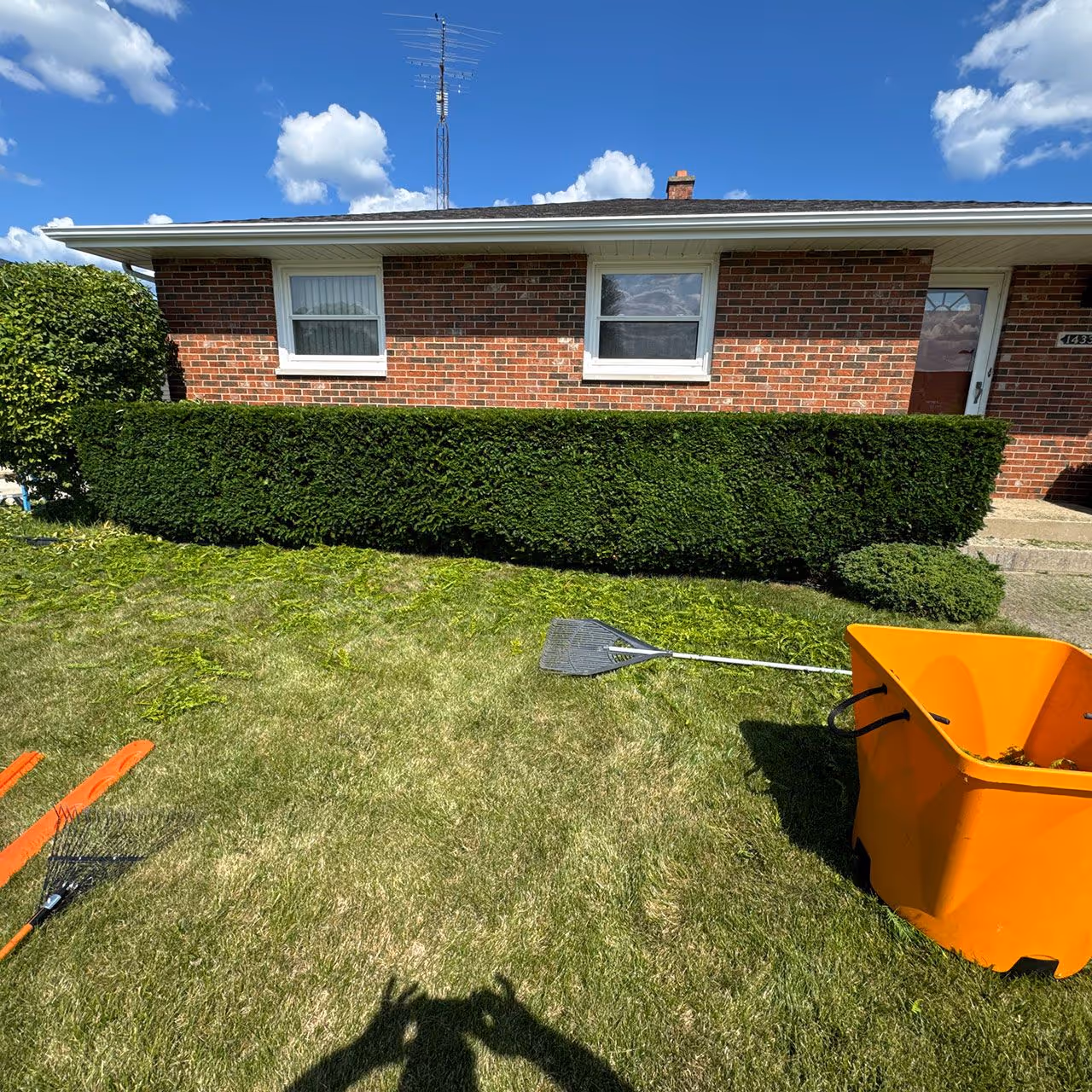 shrub trimming and hedge maintenance service by Jeff's Lawn And Snow in Kenosha and Racine Counties Wisconsin