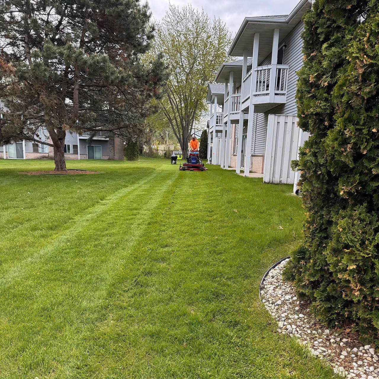 routine lawn care service with striped freshly cut grass