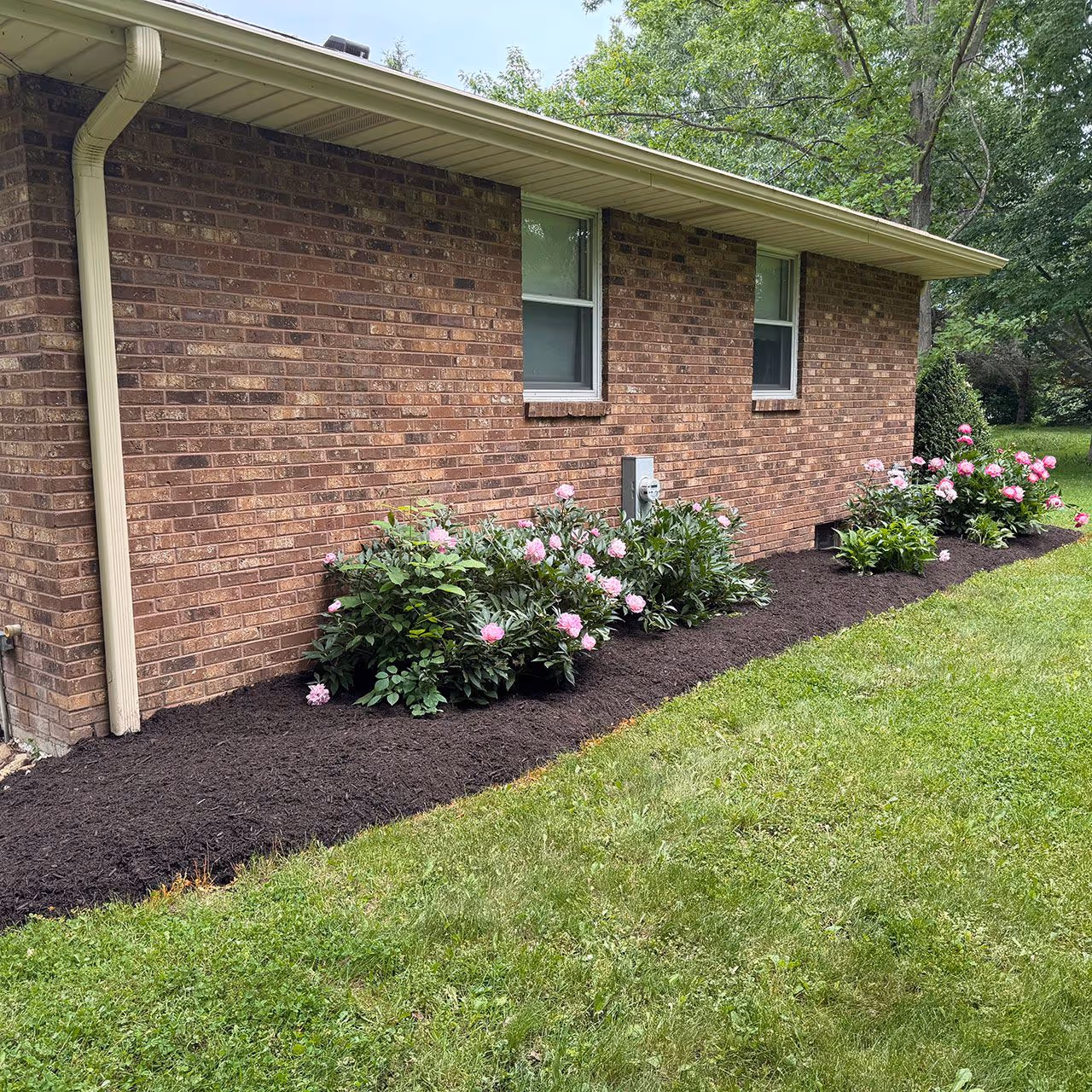 flower bed installation and landscape improvement service