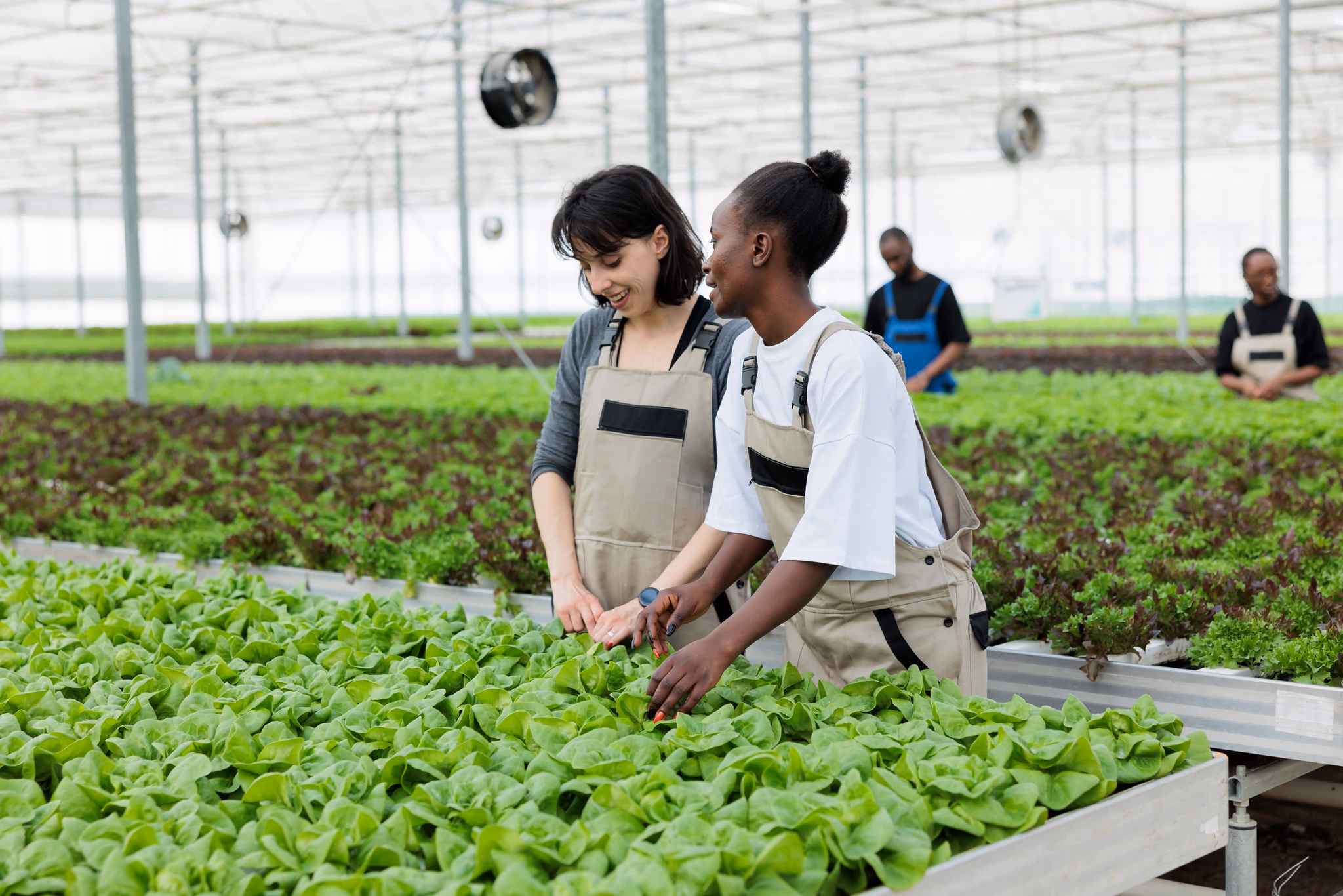 Project Card Thumbnail