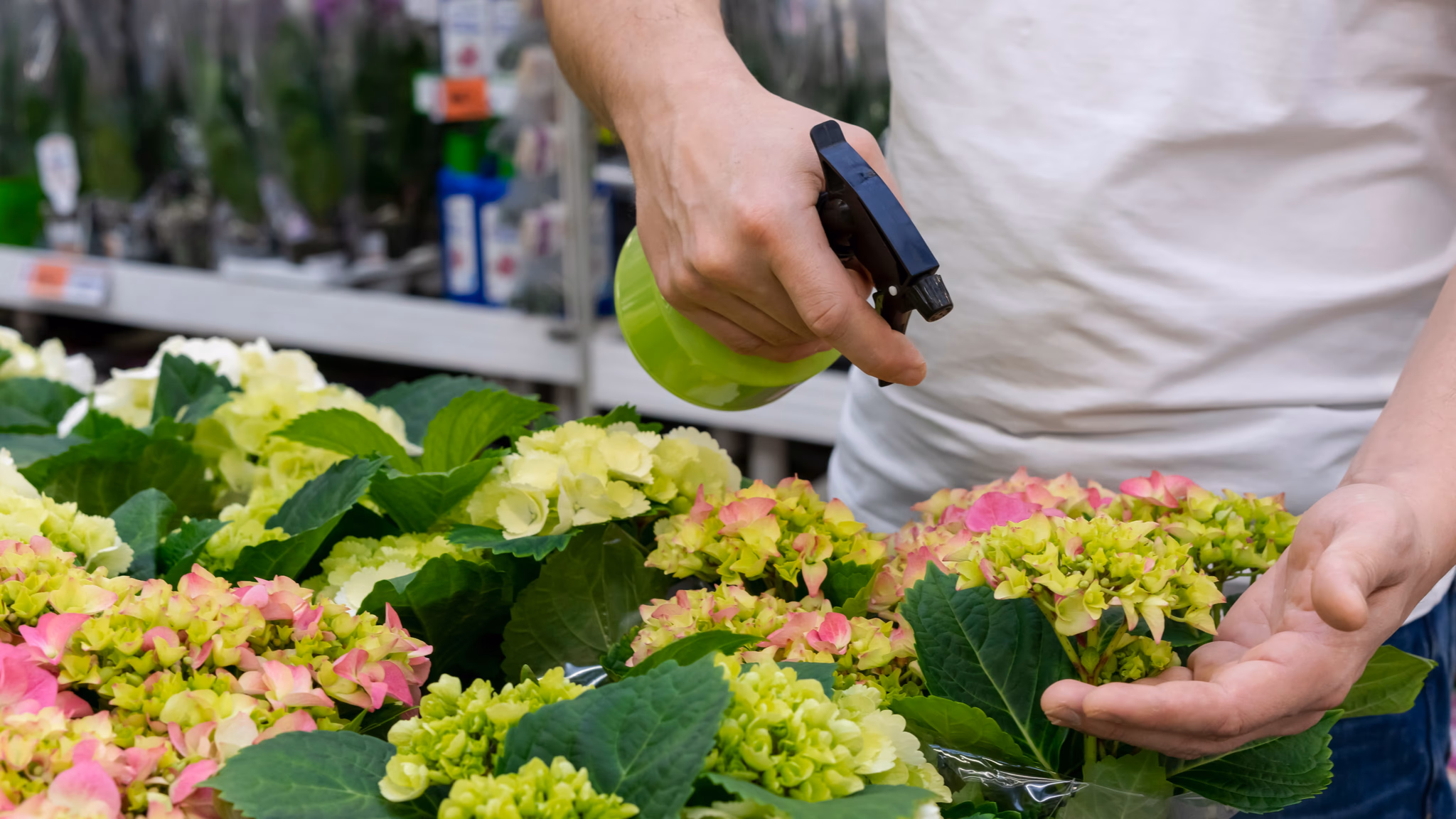 project details thumbnail