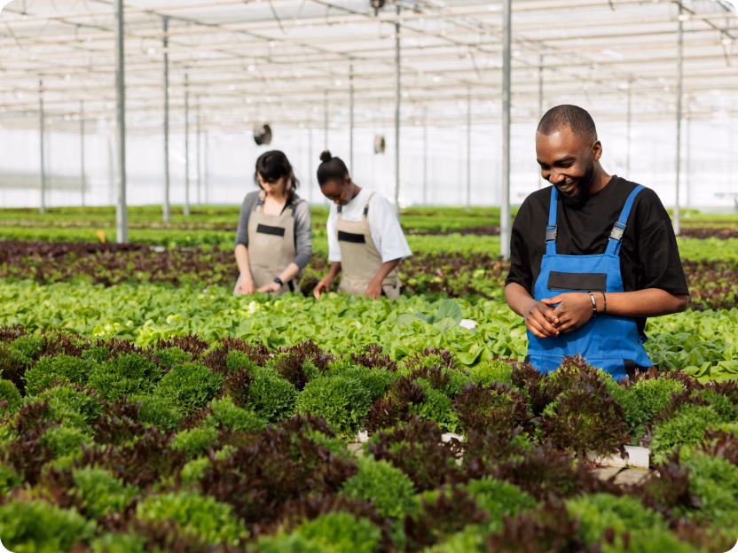 Featured Post Thumbnail