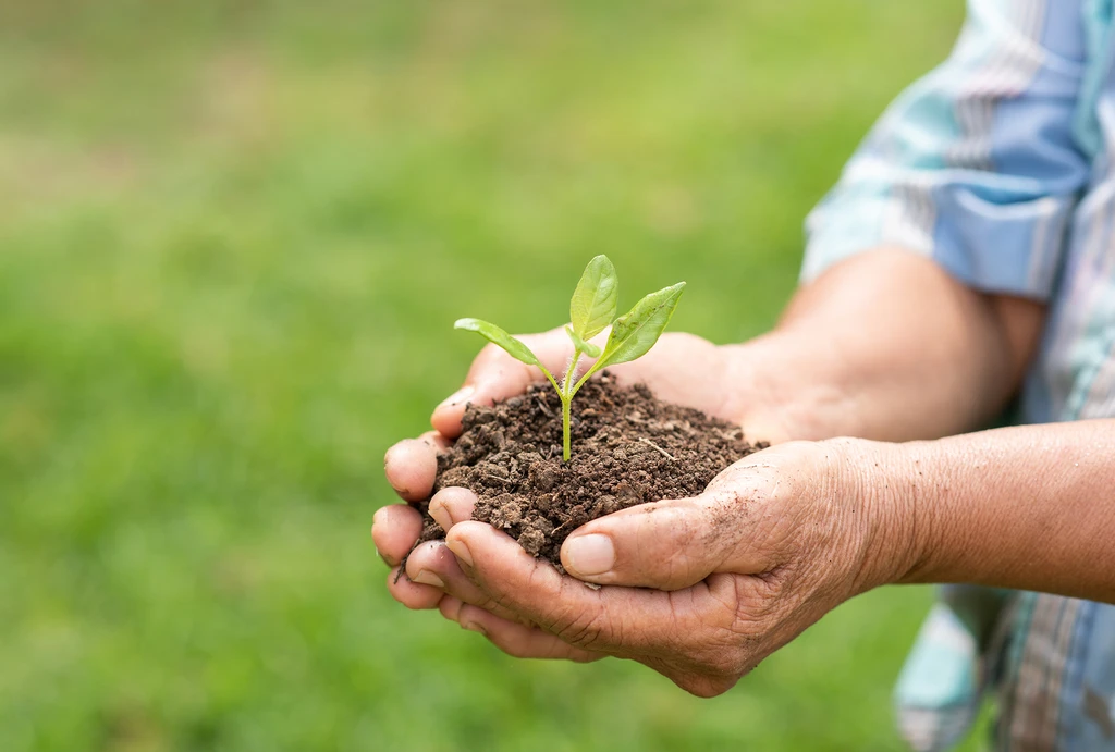 Service Card Thumbnail