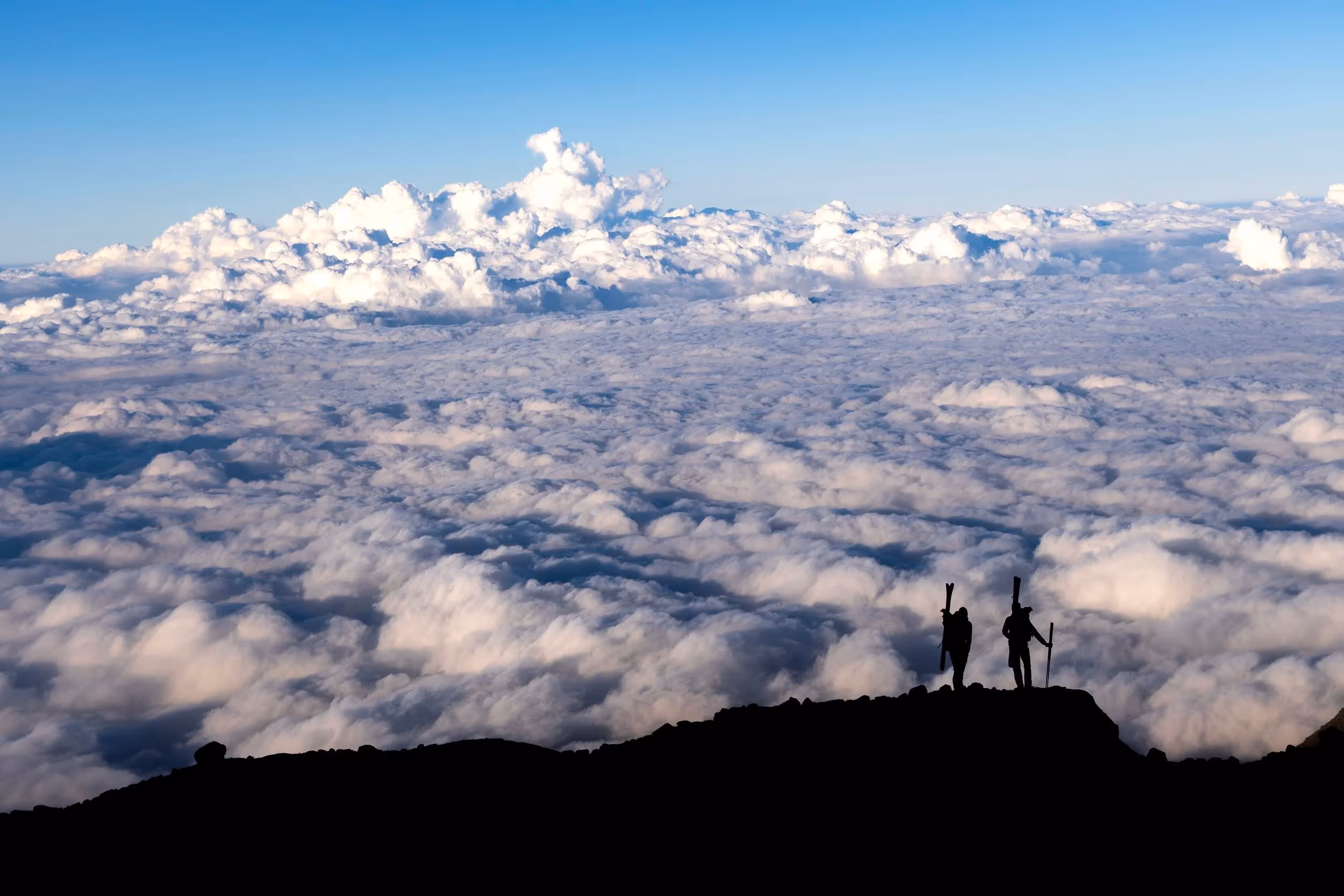 Two backcountry skiers skinning uphill through a snow-covered forest on a grey winter day