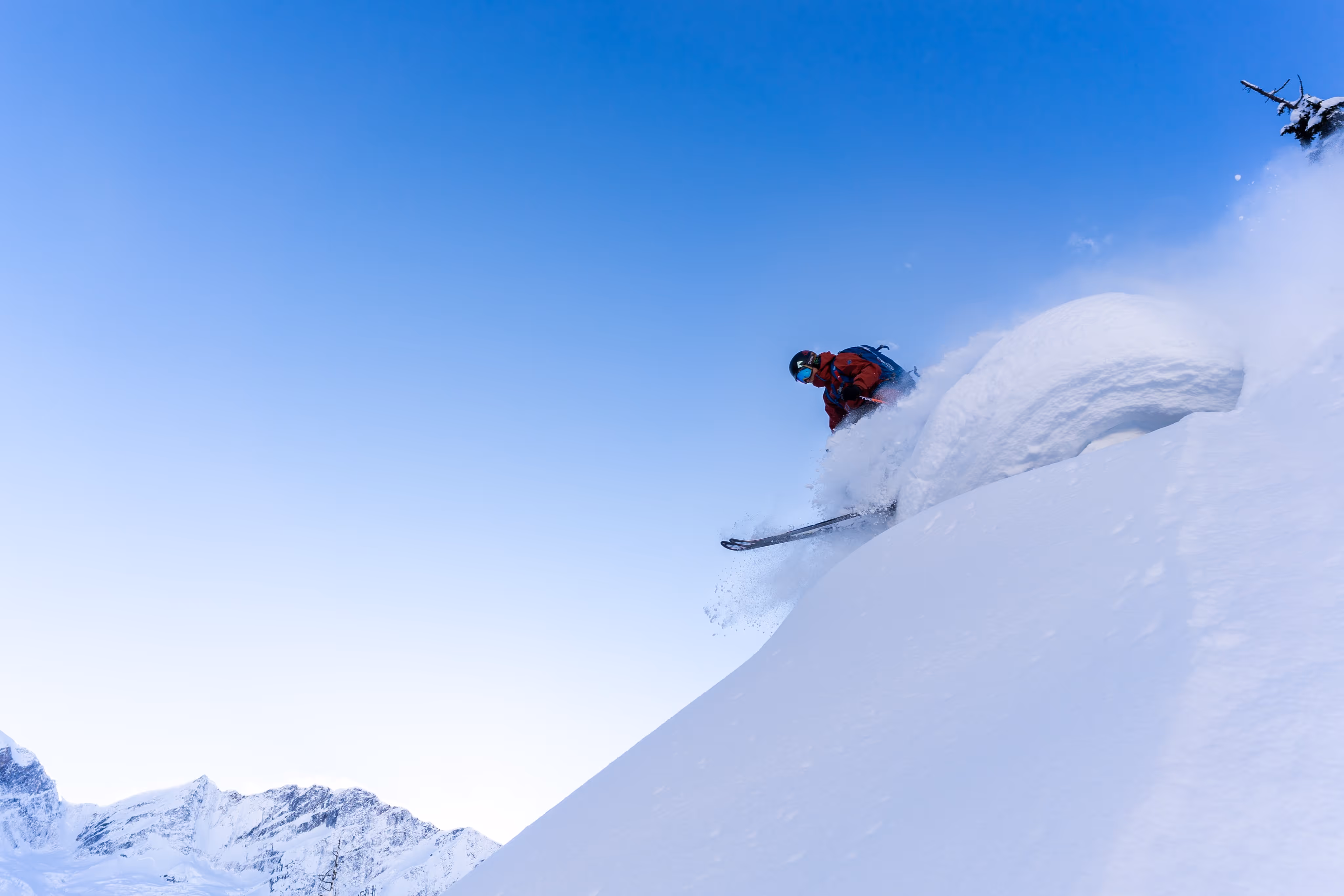 Skier riding down a snow-covered mountain with pine trees on it