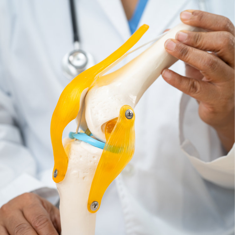 Orthopédie en Turquie | Chirurgie Moderne et Prothèses Avancées avec Julie Médico Travel