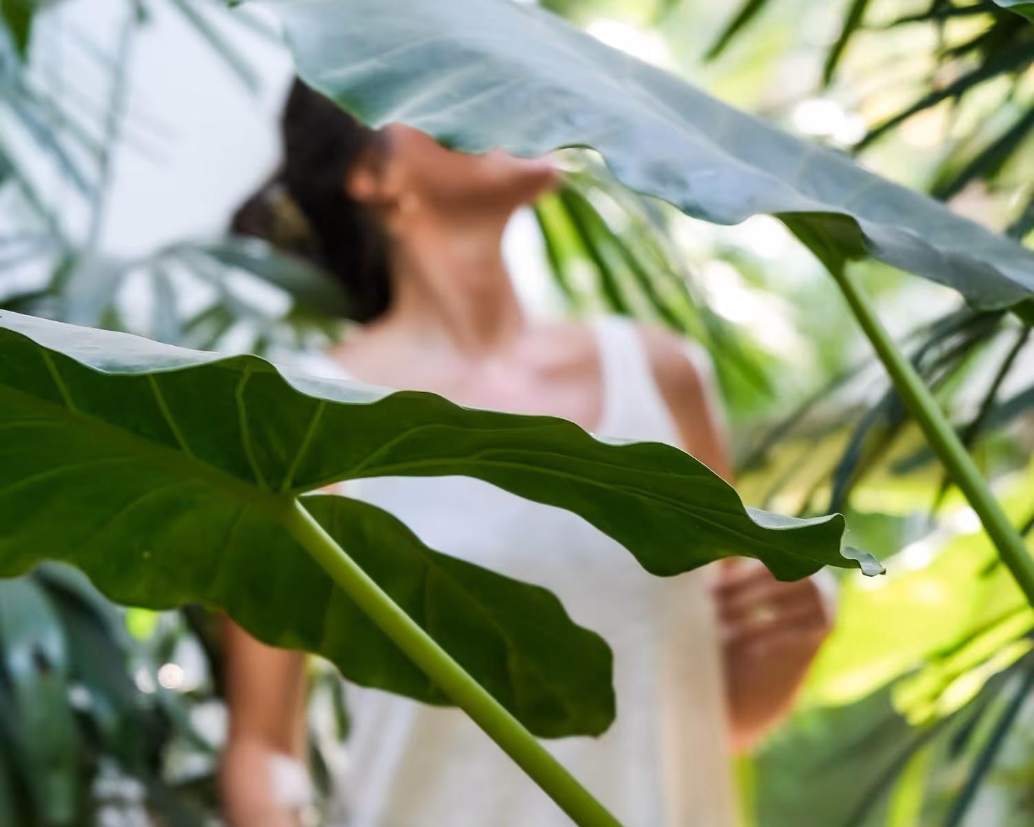 Blurred person in white tank top behind large green tropical leaves in a lush setting.