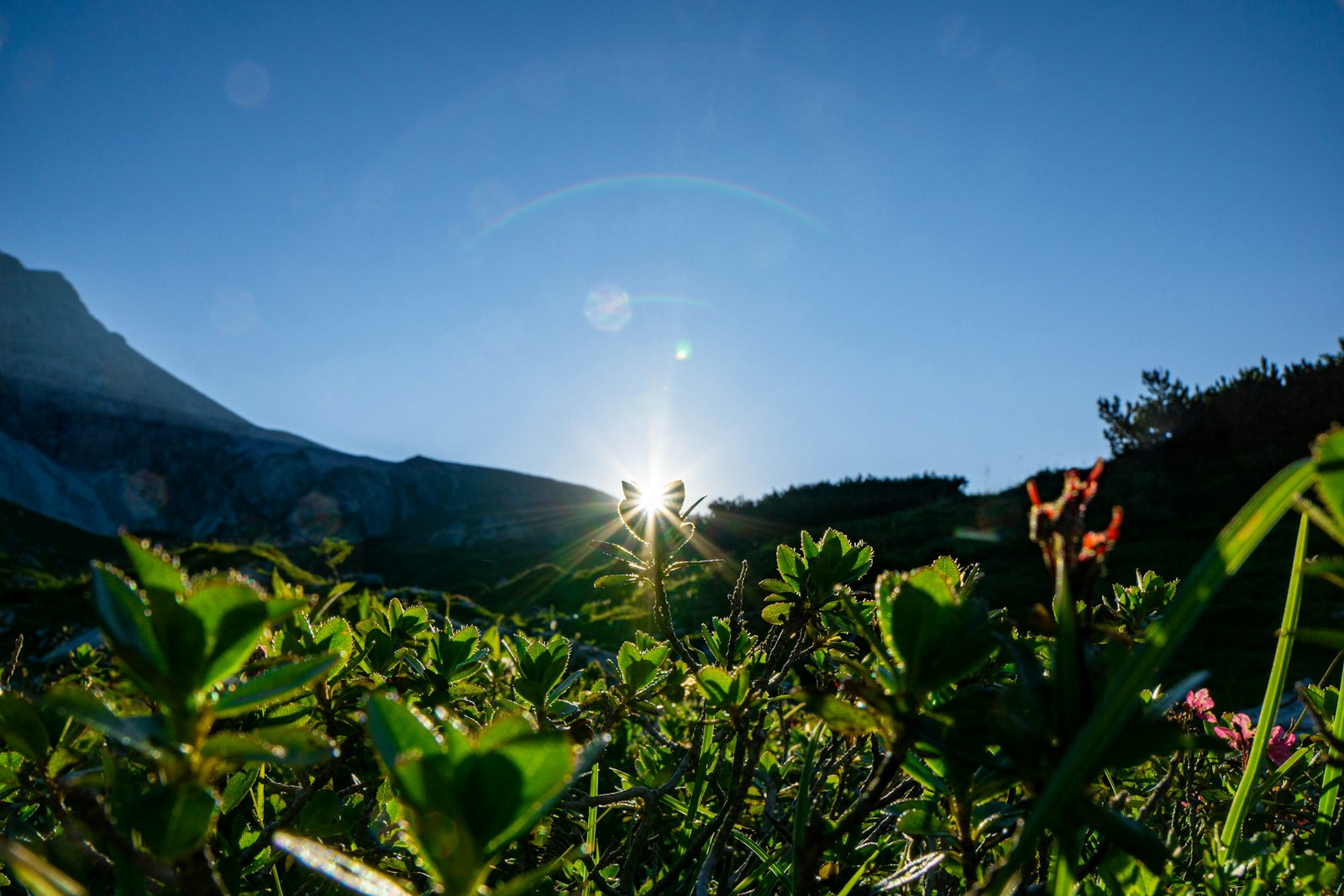 Yoga Retreat — Asheville — Thumbnail