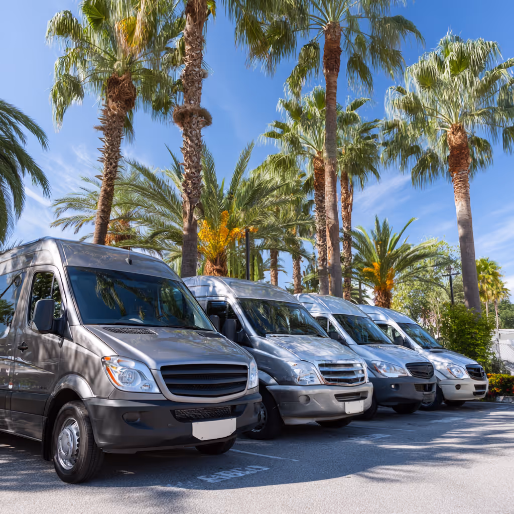 Row of silver vans parked in a lot with tall palm trees and a blue sky in the background.
