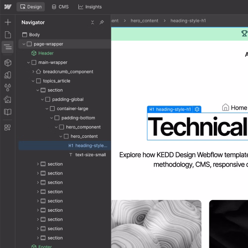 Technical & Customization webflow