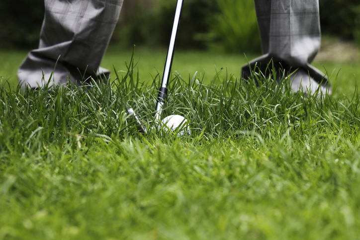 Insurance Agency in the Rough in Old White Case