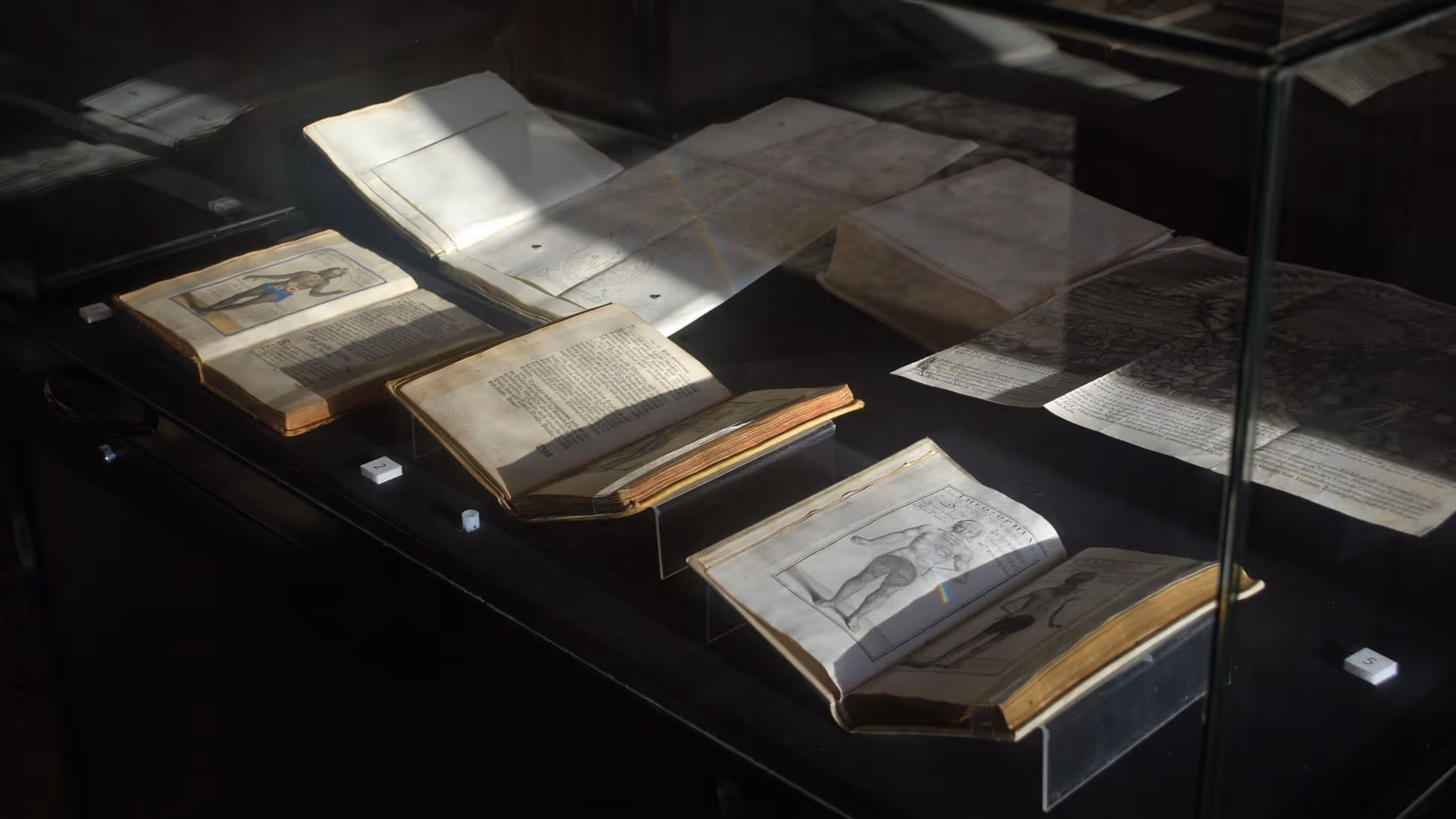 Display case with several old open books and folded manuscript pages, some featuring anatomical illustrations.