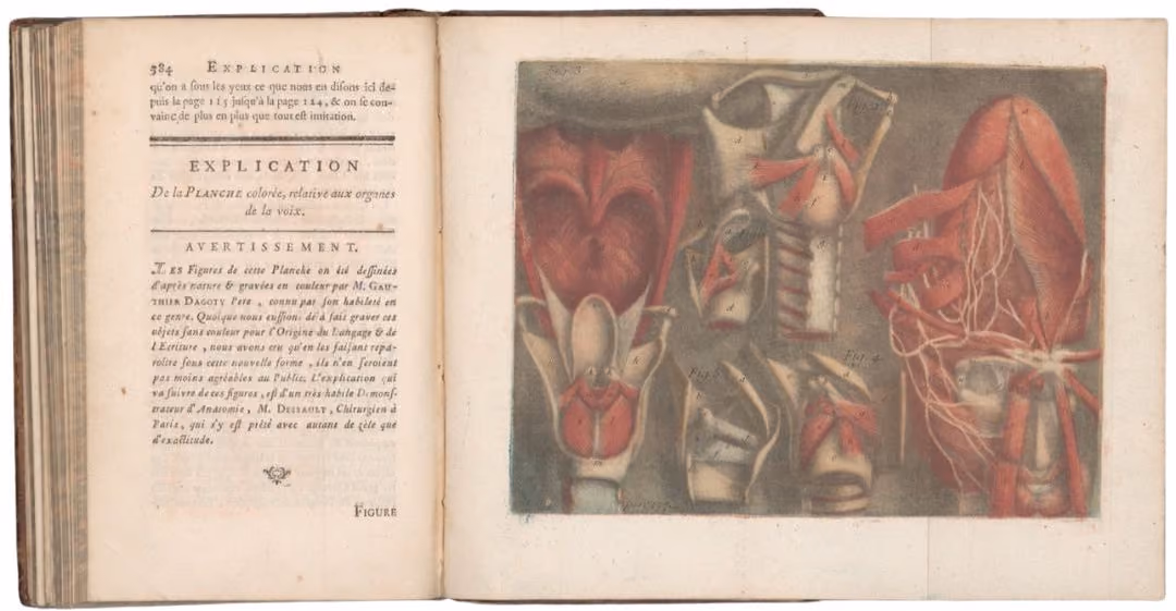 A 1776 open book showing a French text page on the left and a colored anatomical print of vocal organs on the right.