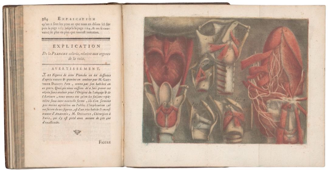 A 1776 open book showing a French text page on the left and a colored anatomical print of vocal organs on the right.