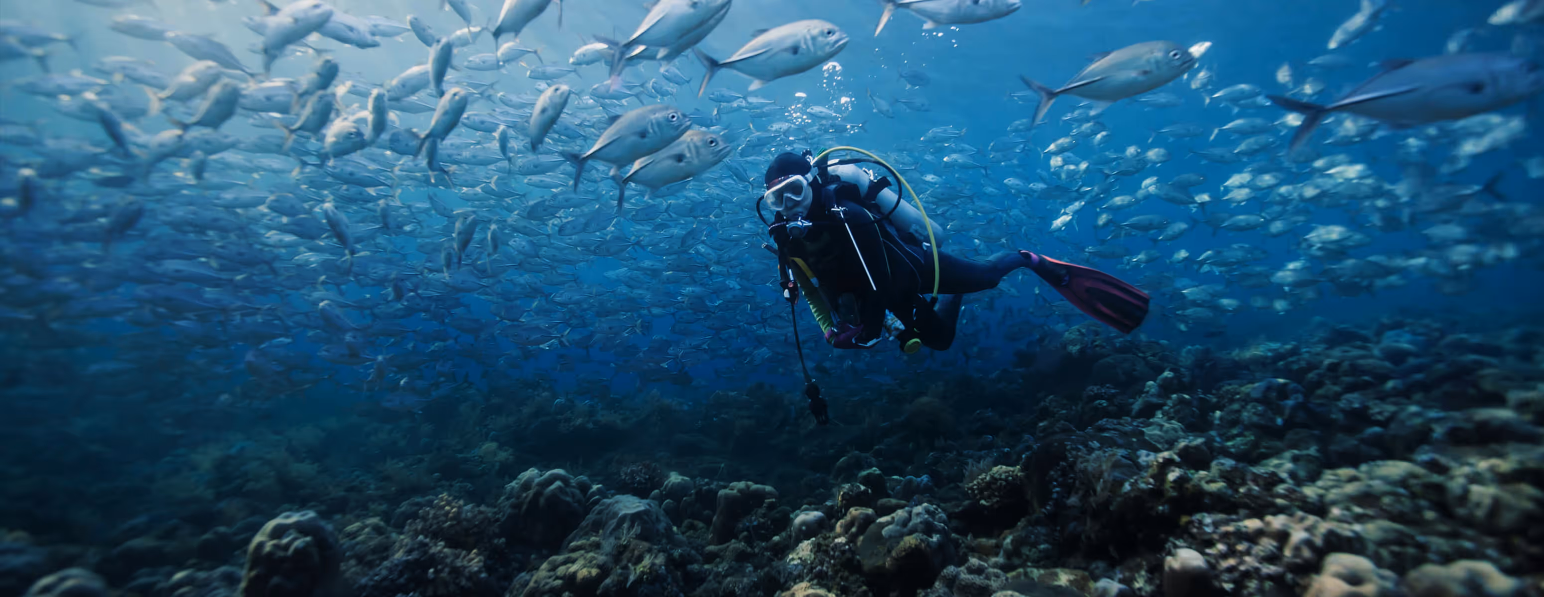 Why Vanguard will be deployed in the Florida Keys