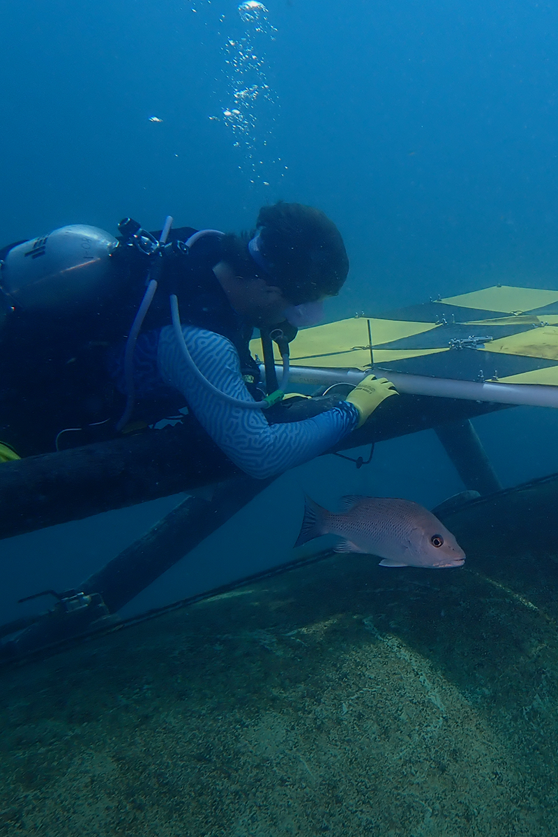 divers install panel on subsea habitat