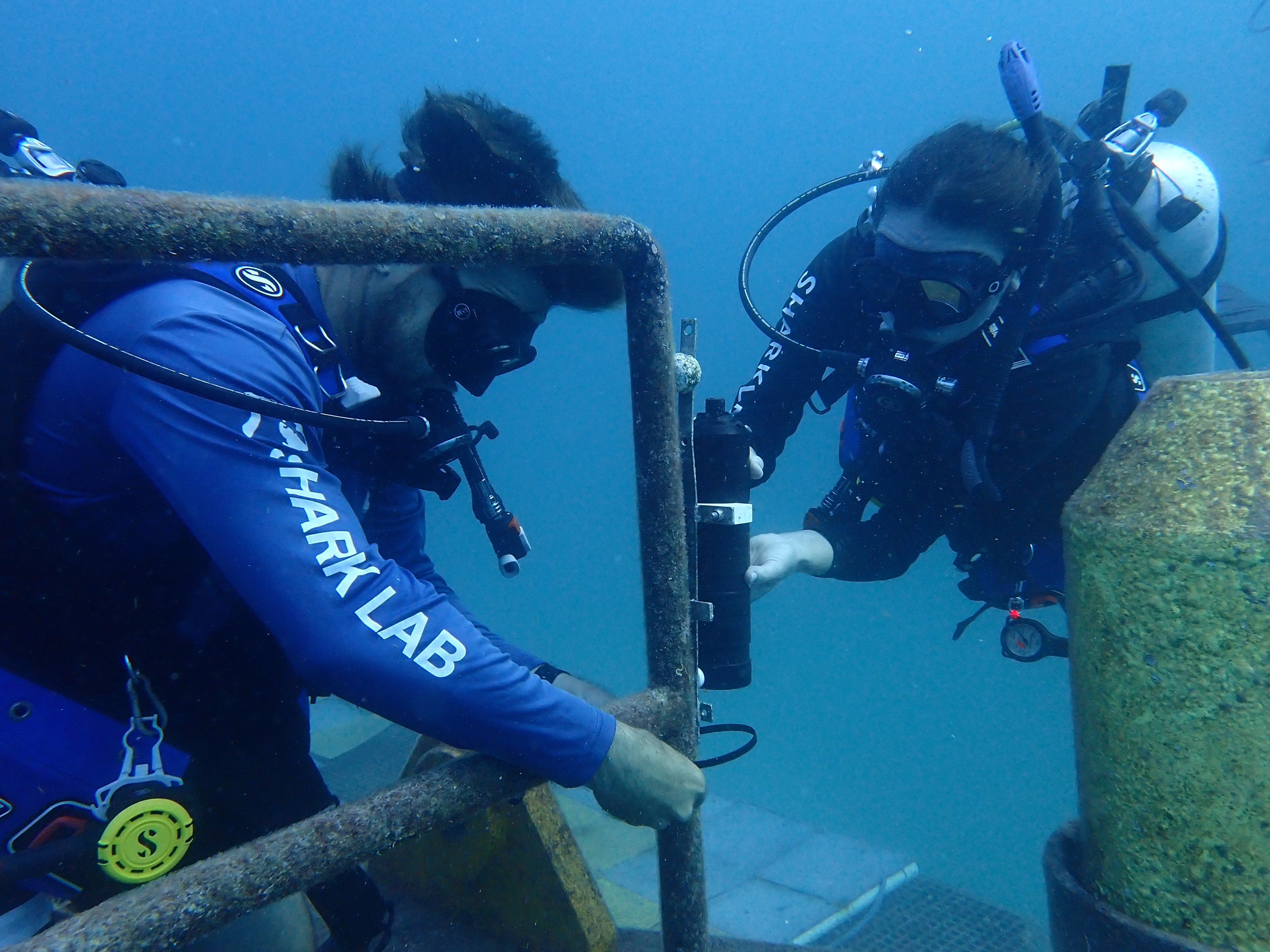 Divers installing acoustic receiver