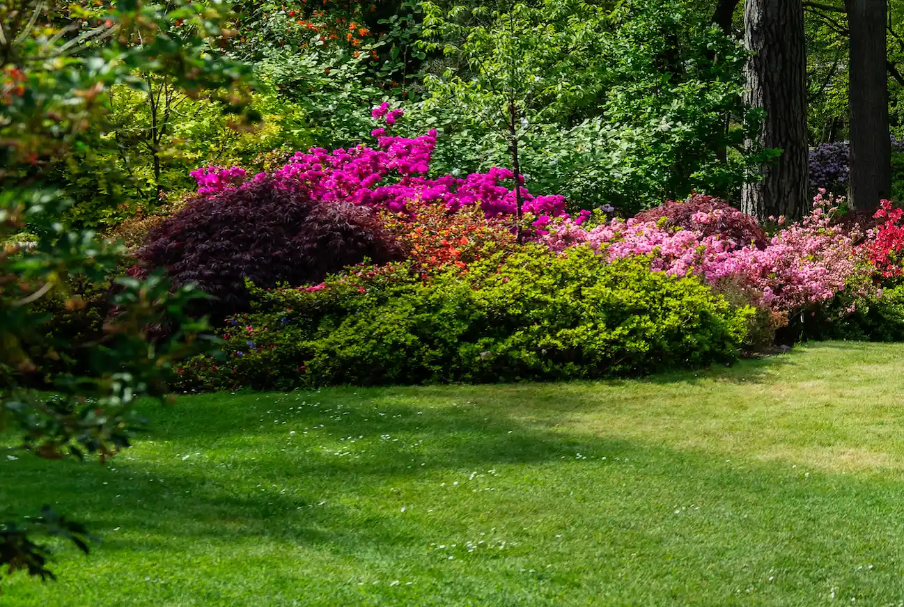 Wenatchee lawn maintenance