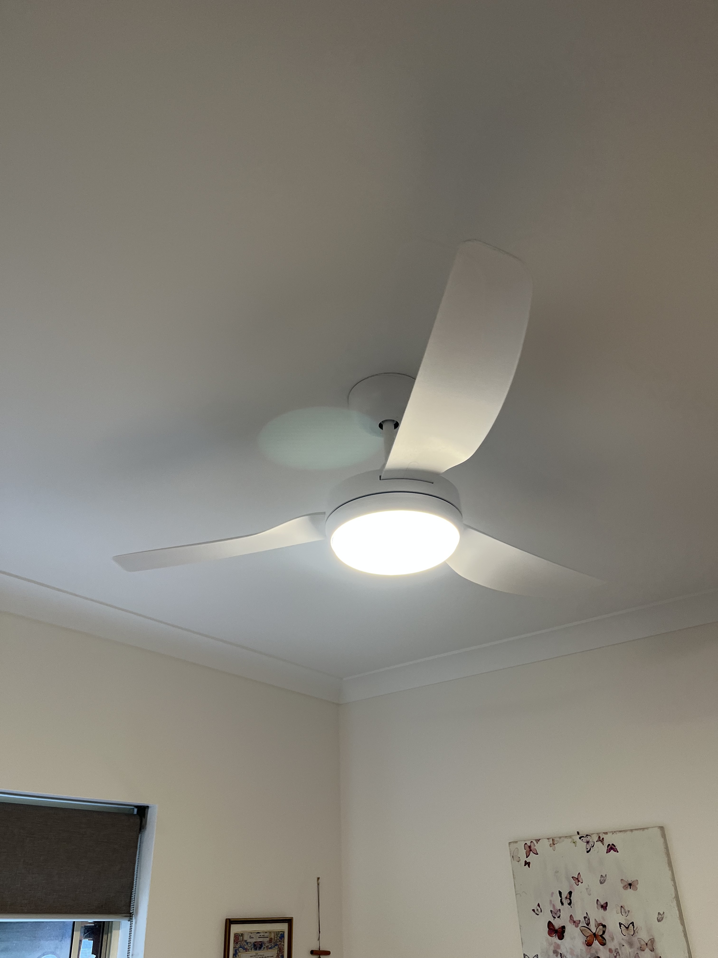 Ceiling Fan Replacement Payneham | Lucid Electrical