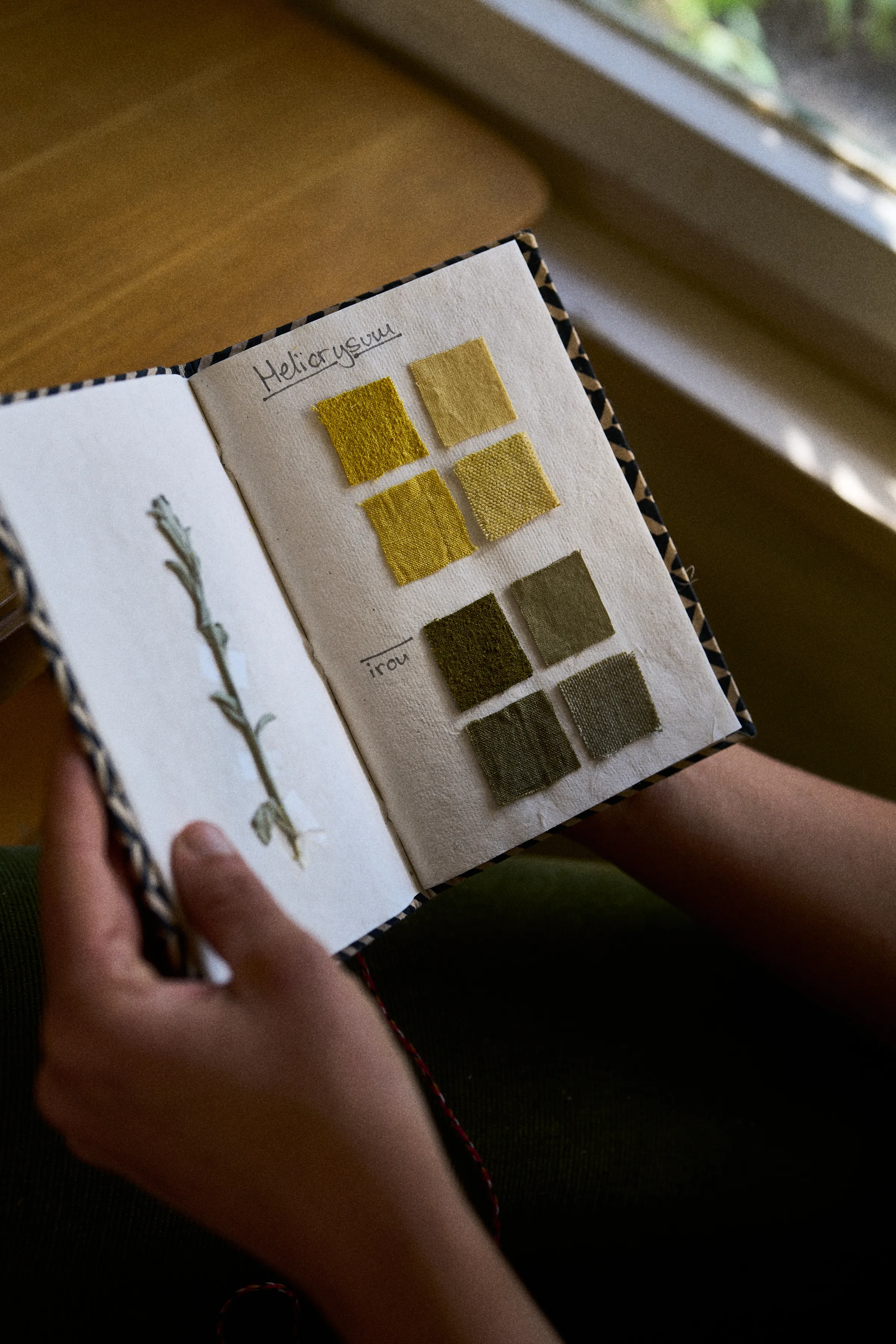 Notebook with yellow and green plant-dyed textile samples.