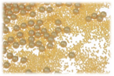A close-up of a group of beadsDescription automatically generated