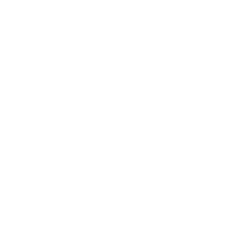 White pixelated outline of the U.S. state of South Carolina on a black background.