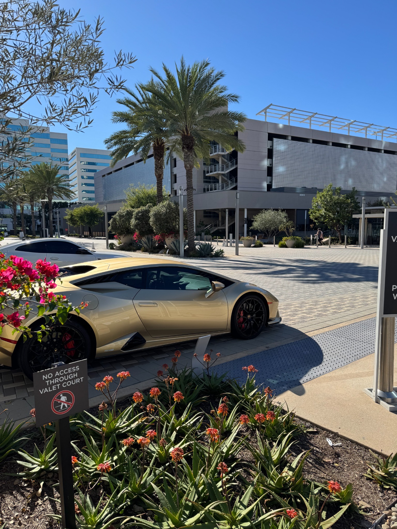 image of data analytics dashboard (for a real estate tech) [interface]