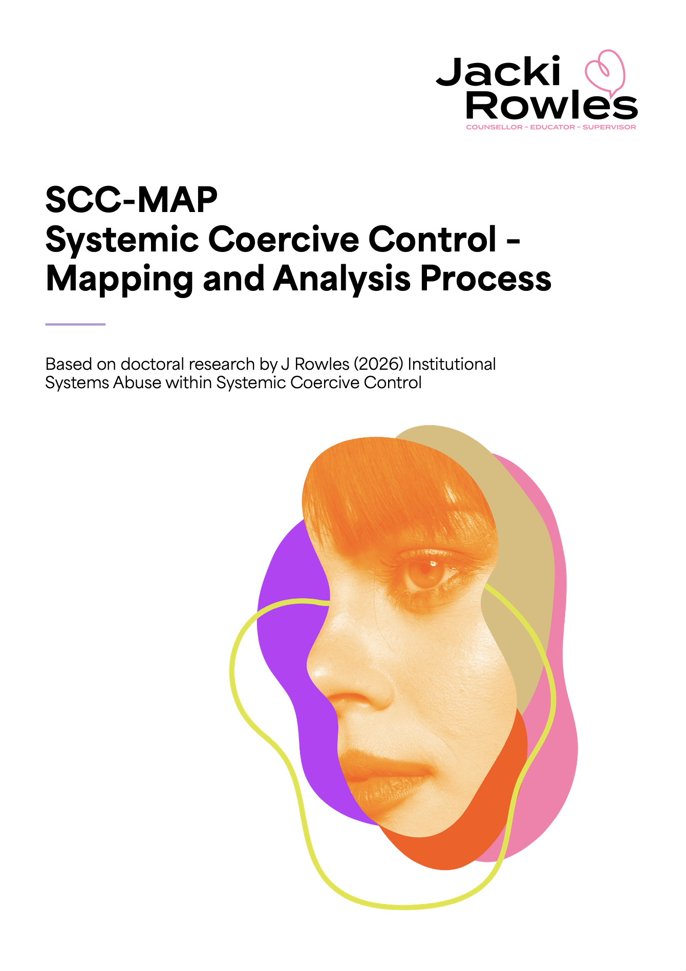 Systemic Coercive Control – Mapping and Analysis Process