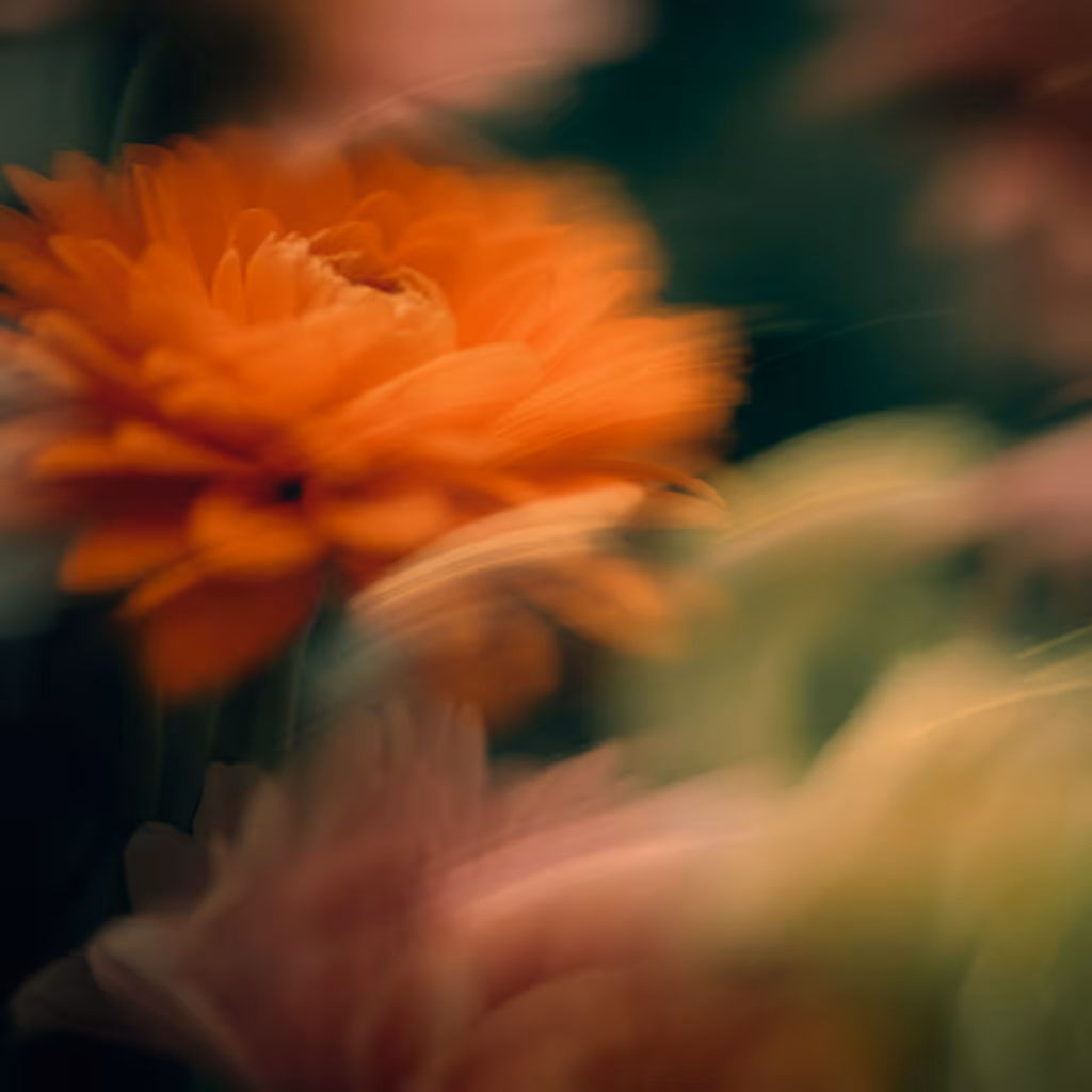 Work Shot Thumbnail Link