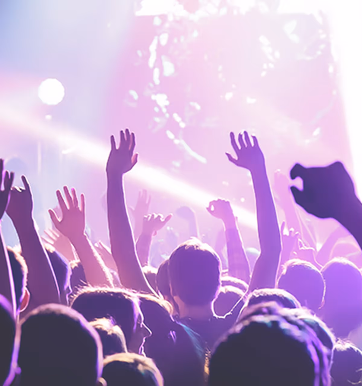 コンサートで盛り上がる観客 — モルビドのキャスティングが支えるエンターテインメント