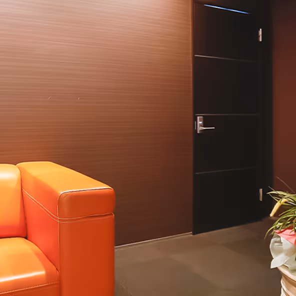 モルビドの会社情報