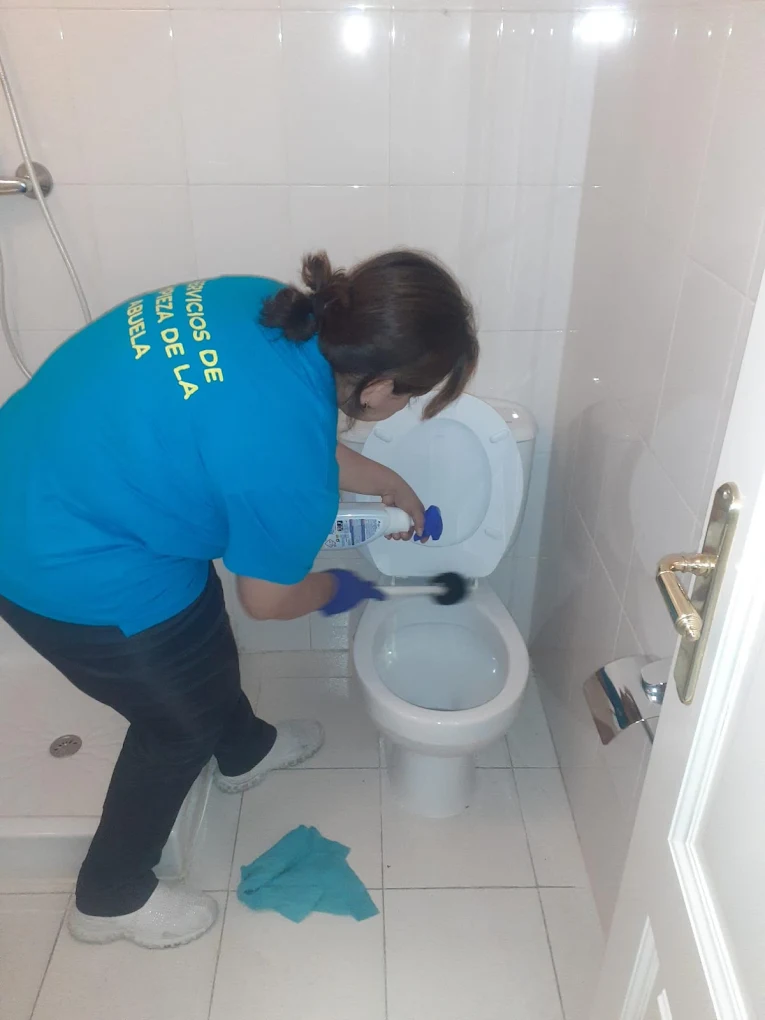 Granny's Cleaning professional team ready for end of tenancy cleans in Dublin