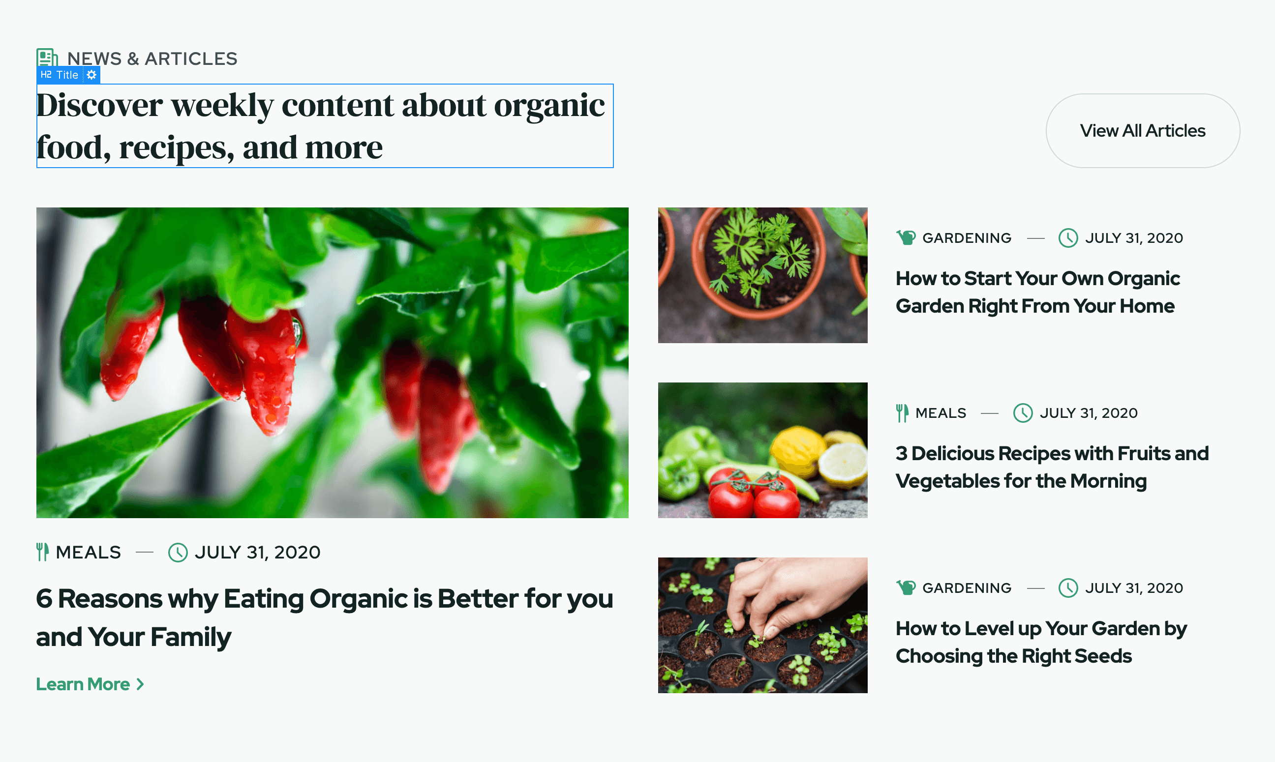 Static Content - Farm Webflow Template
