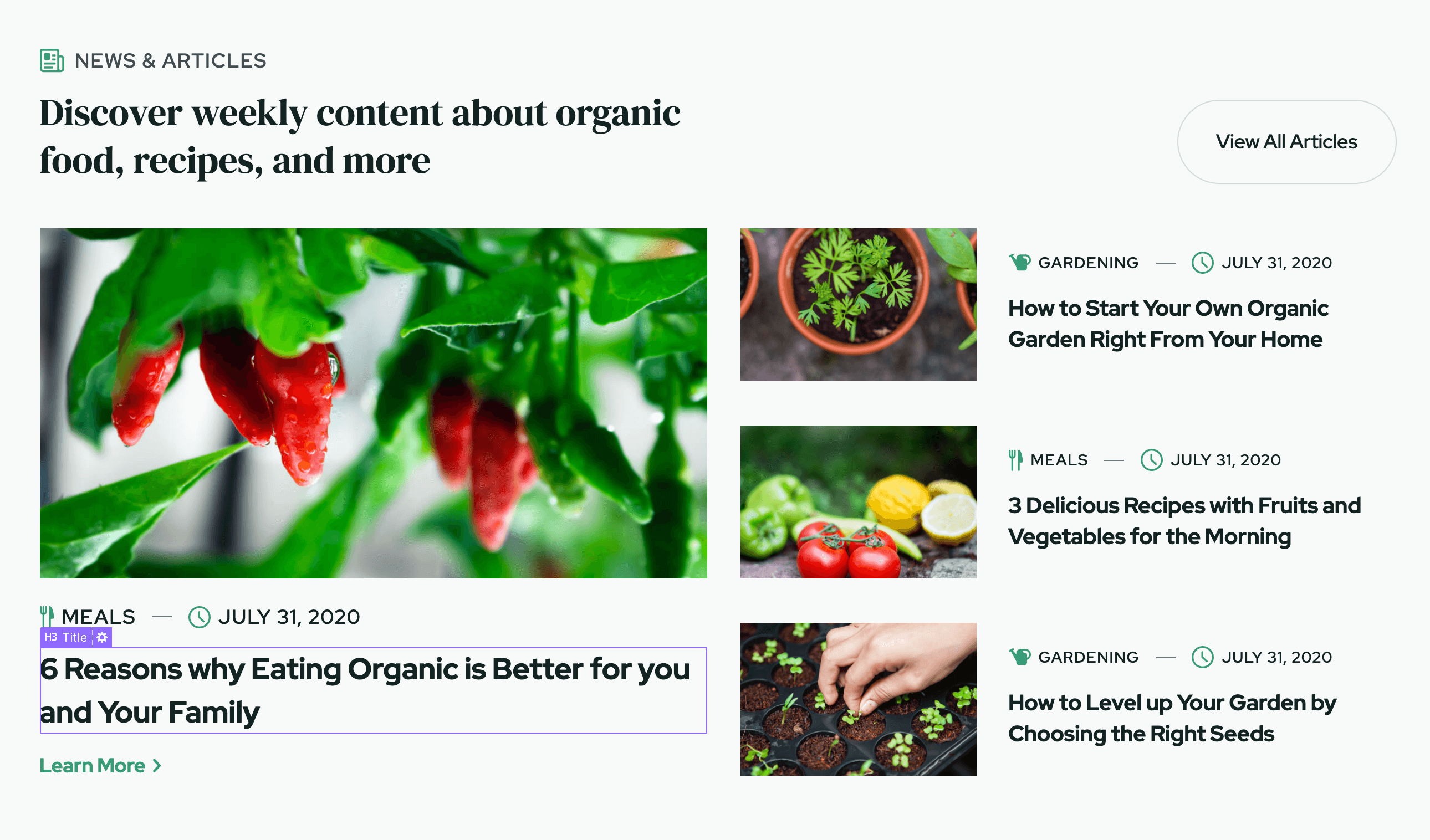 Dynamic Content CMS - Farm Webflow Template