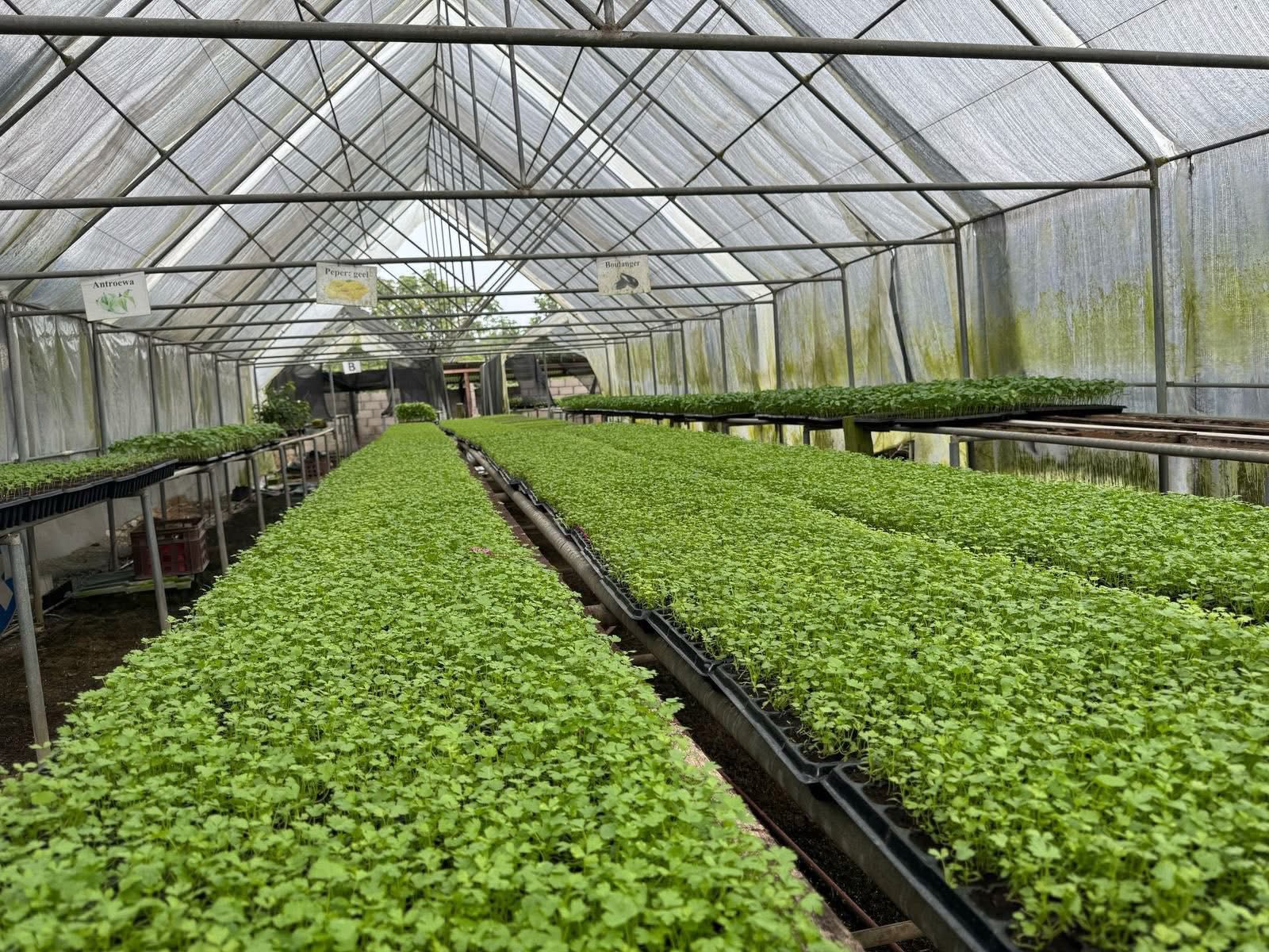 Our Farm - Farm Webflow Template