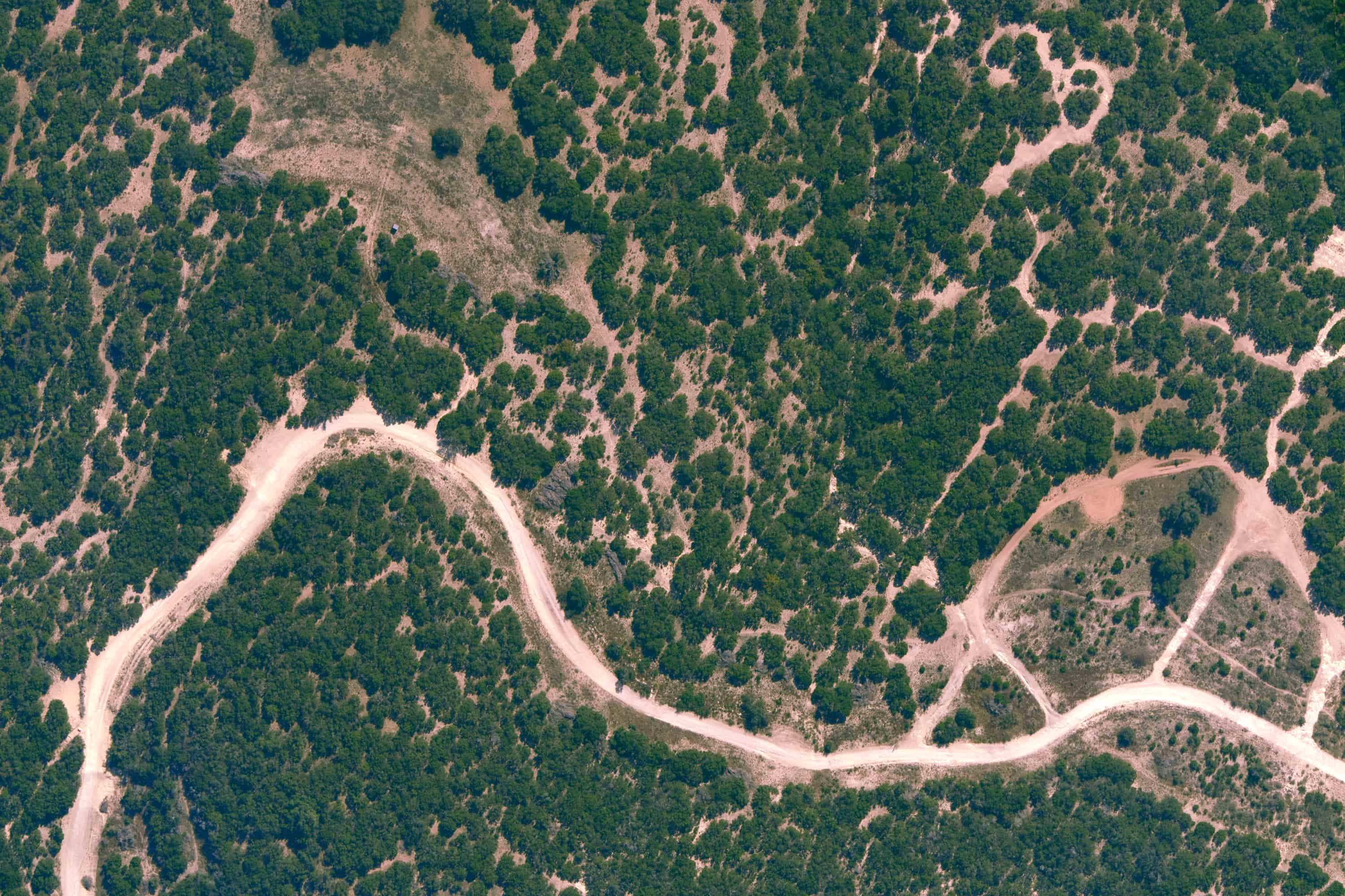Aerial view of a winding dirt road cutting through a scattered green forest on dry land.