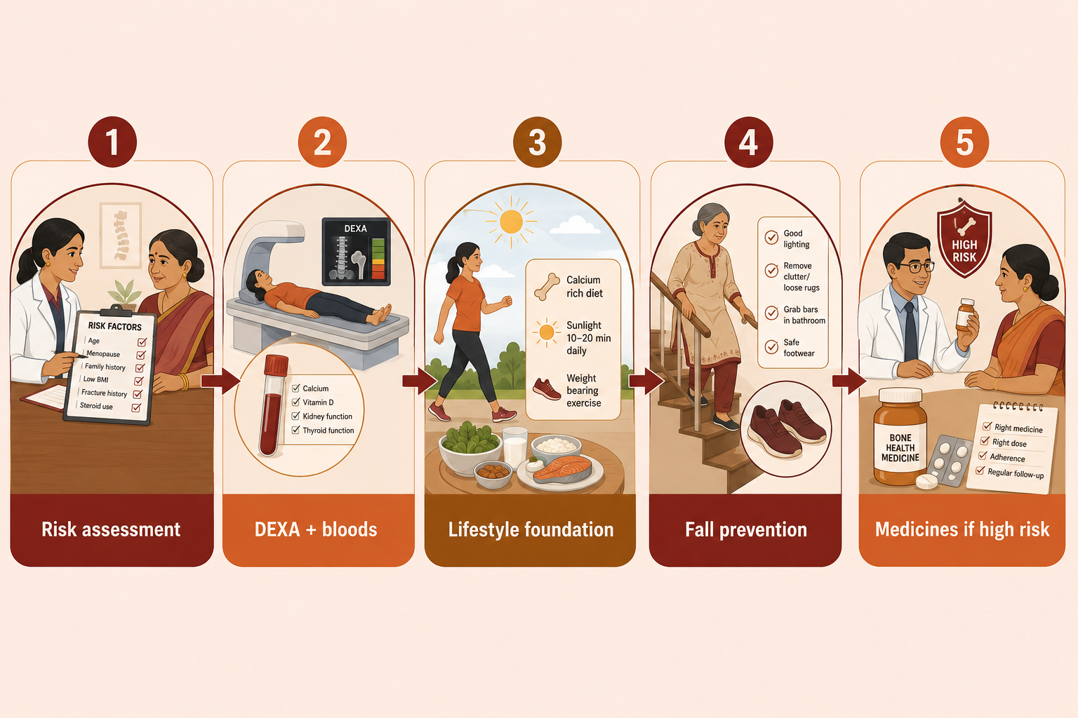 Osteoporosis care pathway: risk assessment, DEXA and blood tests, lifestyle foundation, fall prevention and bone-protecting medicines when needed.